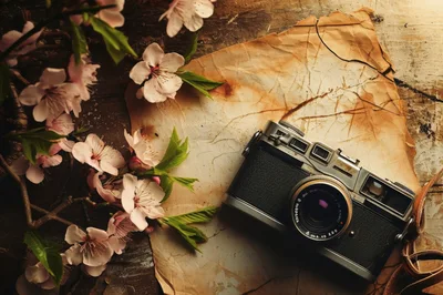 Vintage Film Camera With Cherry Blossoms On Aged Paper