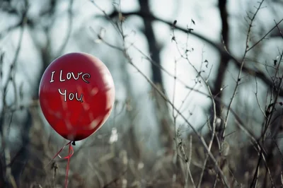 Red Balloon With I Love You Text In Forest