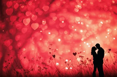 Silhouette Of A Romantic Couple In A Heart Field