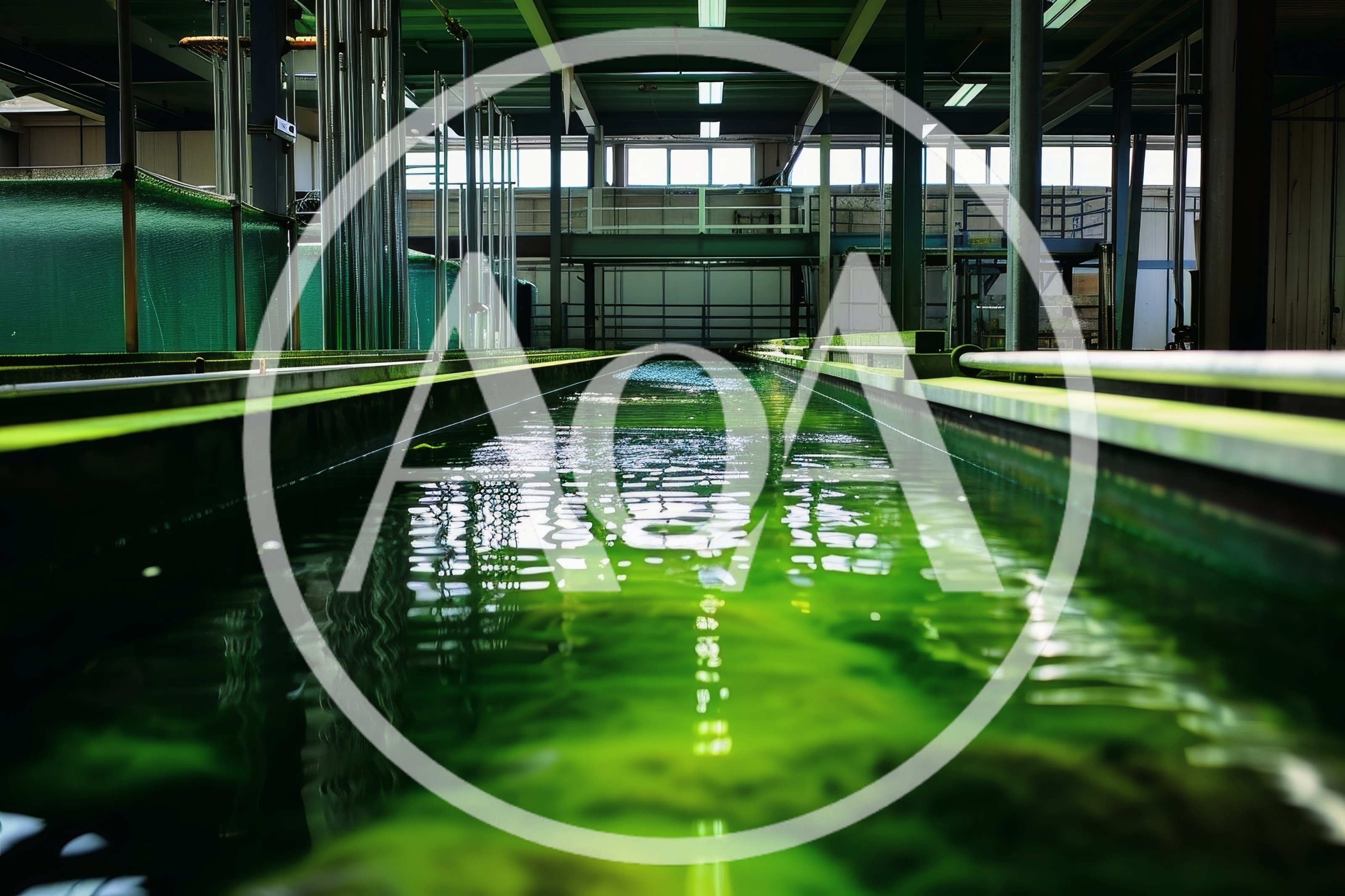 Industrial Algae Cultivation Raceway Pond Facility