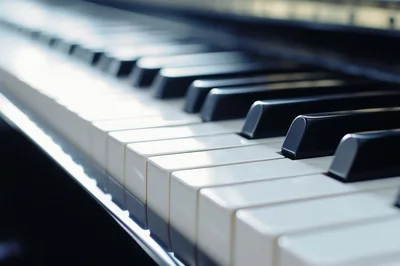 Close Up Of Grand Piano Keys
