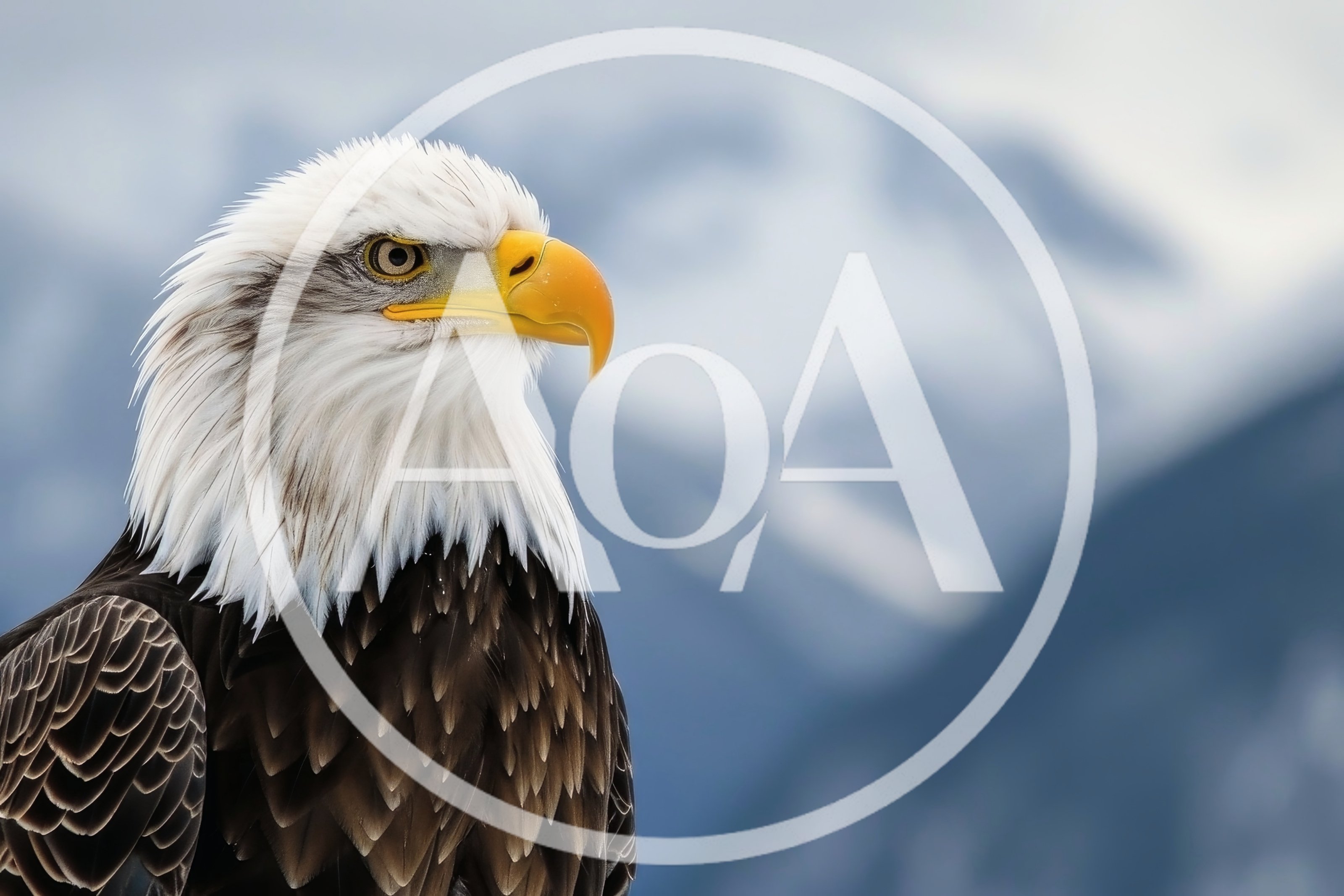 Majestic Bald Eagle Portrait Against Snowy Mountain Background