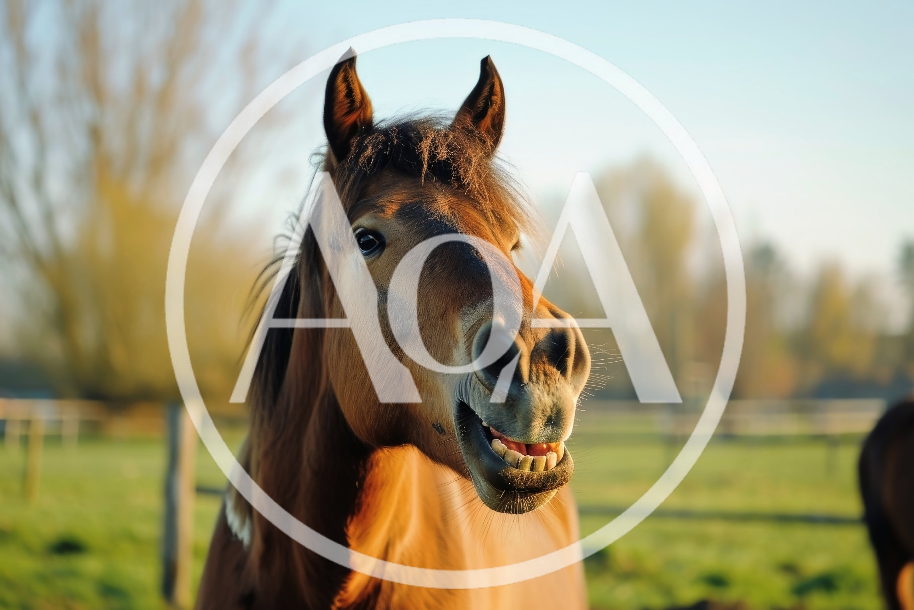 Brown Horse With Funny Expression In A Sunny Field