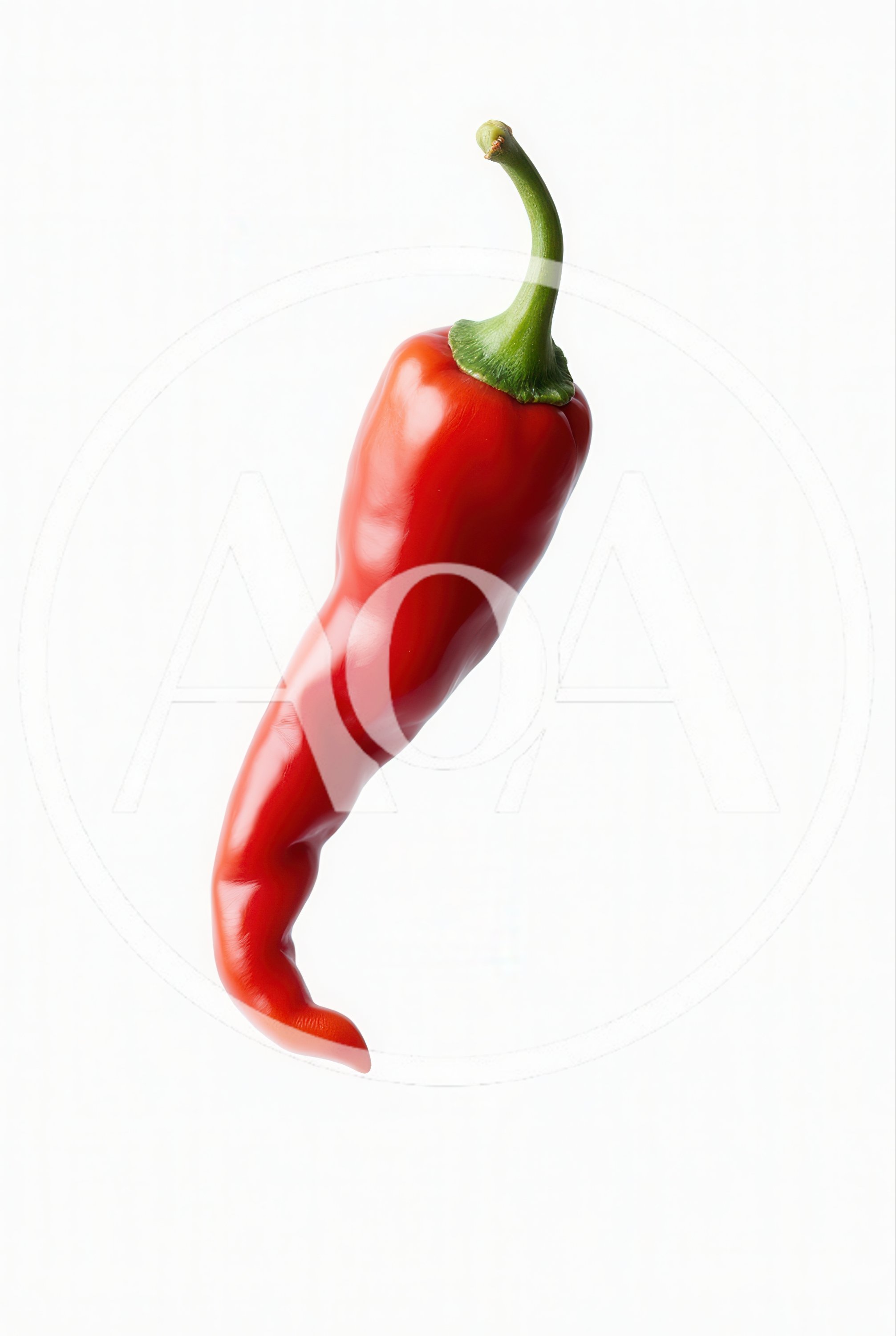 Single Fresh Red Chili Pepper Isolated On White Background