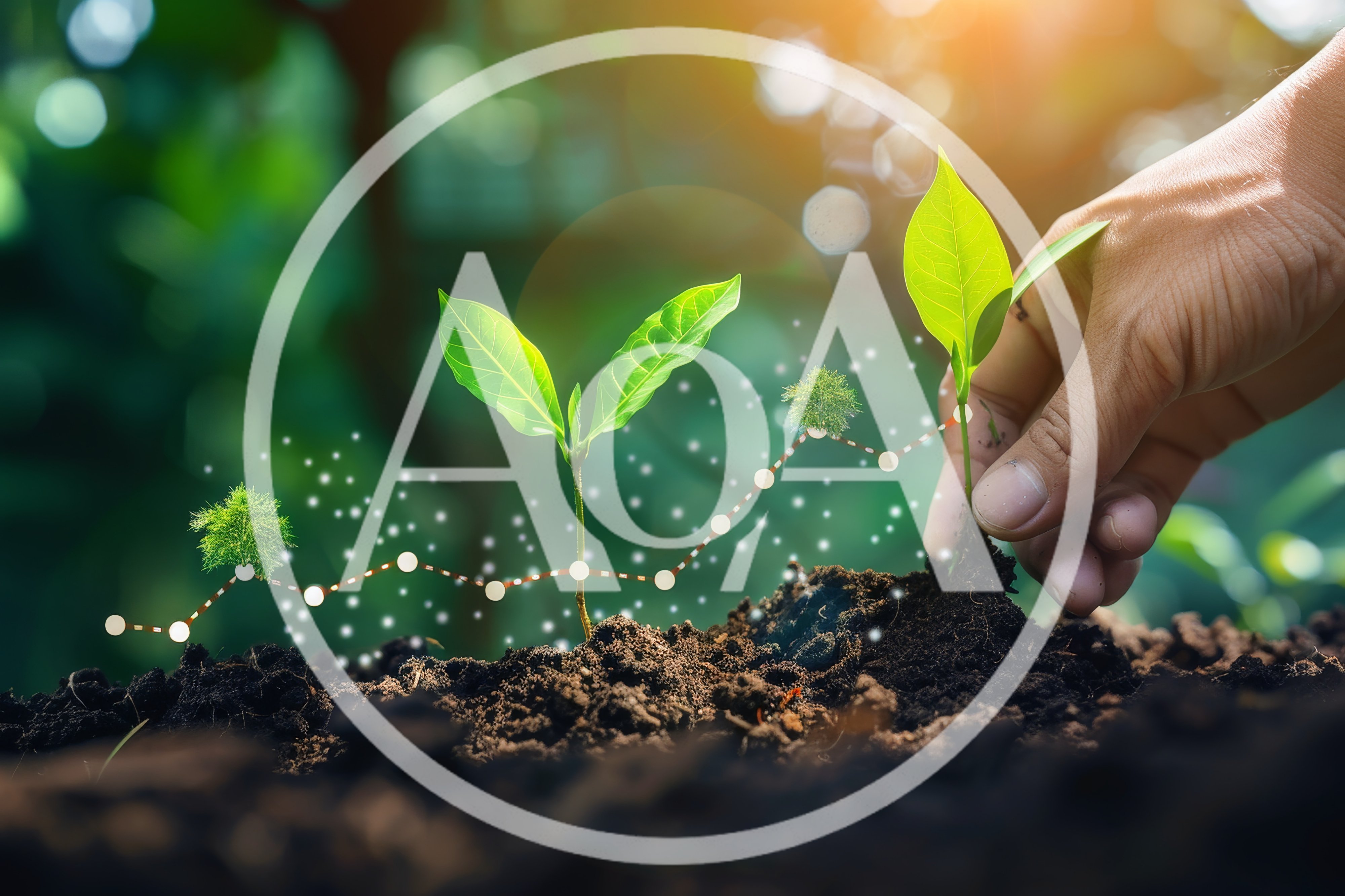 Hand Planting Seedling With Digital Growth Chart Overlay