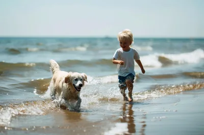 Young Boy Running With Golden Retriever On Beach