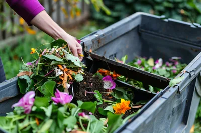 Person Adding Organic Waste To A Garden Compost Bin