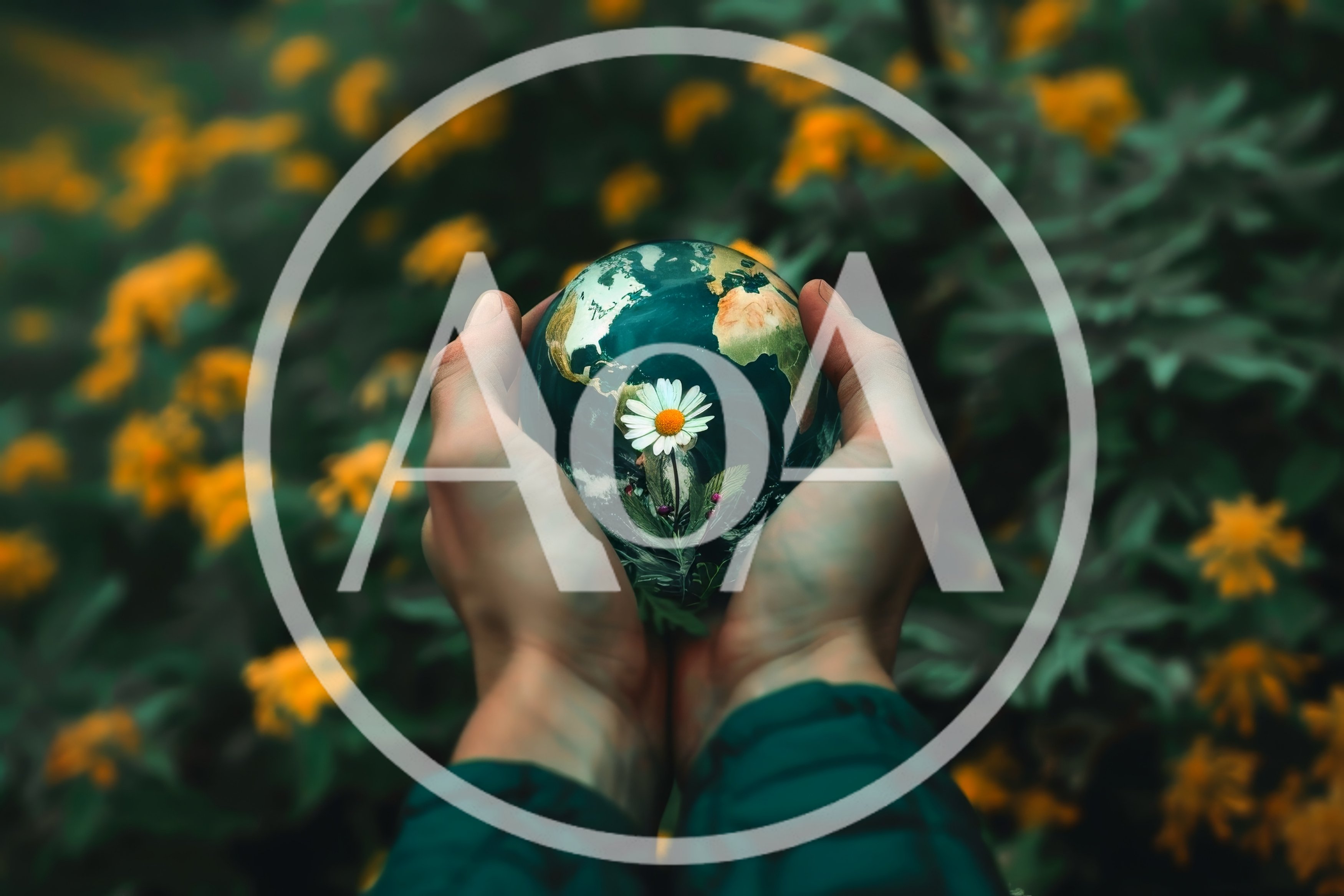 Hands Holding A Glass Globe With A Daisy Inside