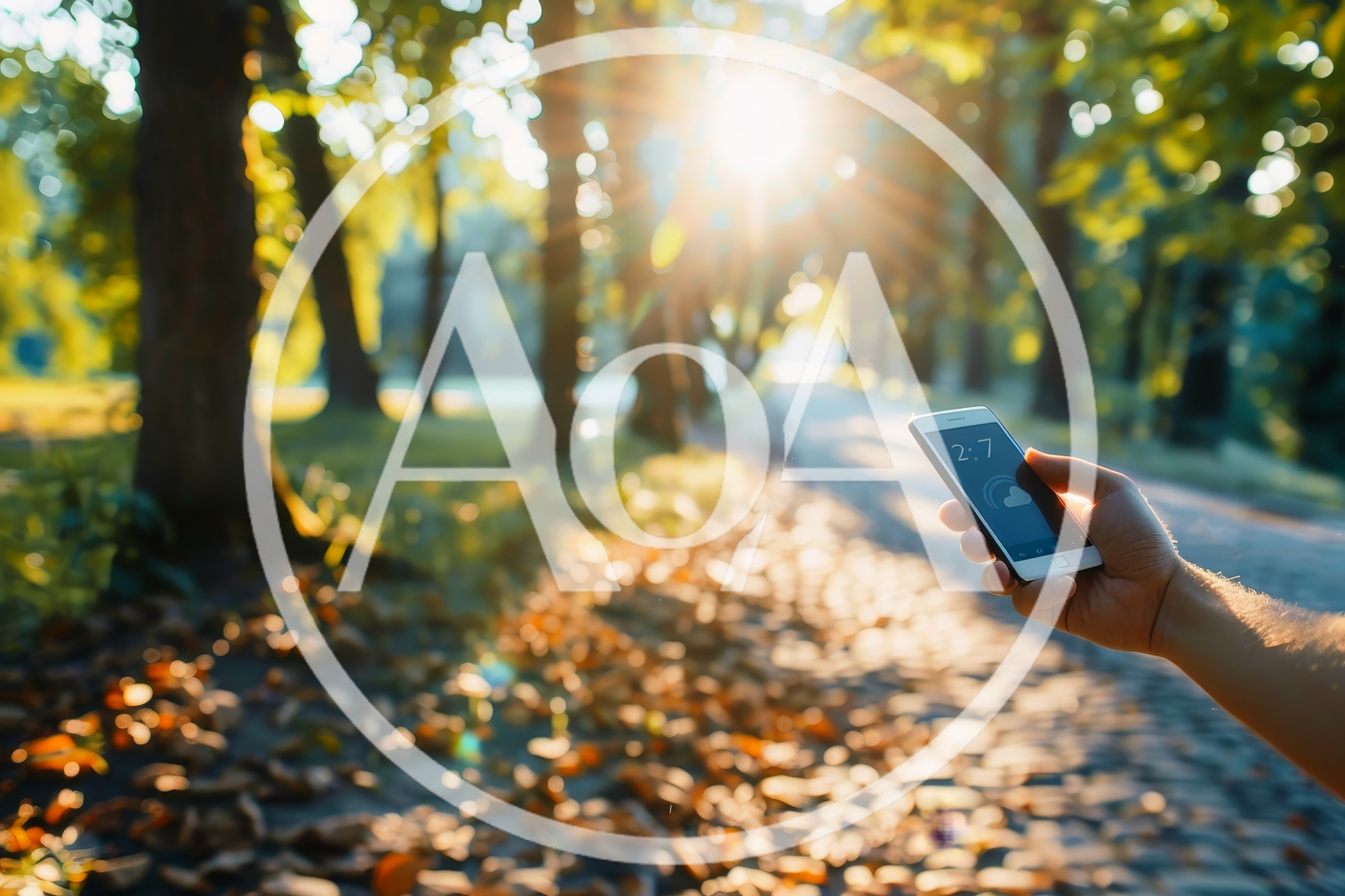 Person Holding Smartphone In Sunny Autumn Park