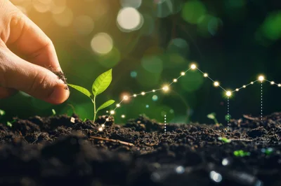 Hand Planting Seedling With Digital Growth Chart Overlay