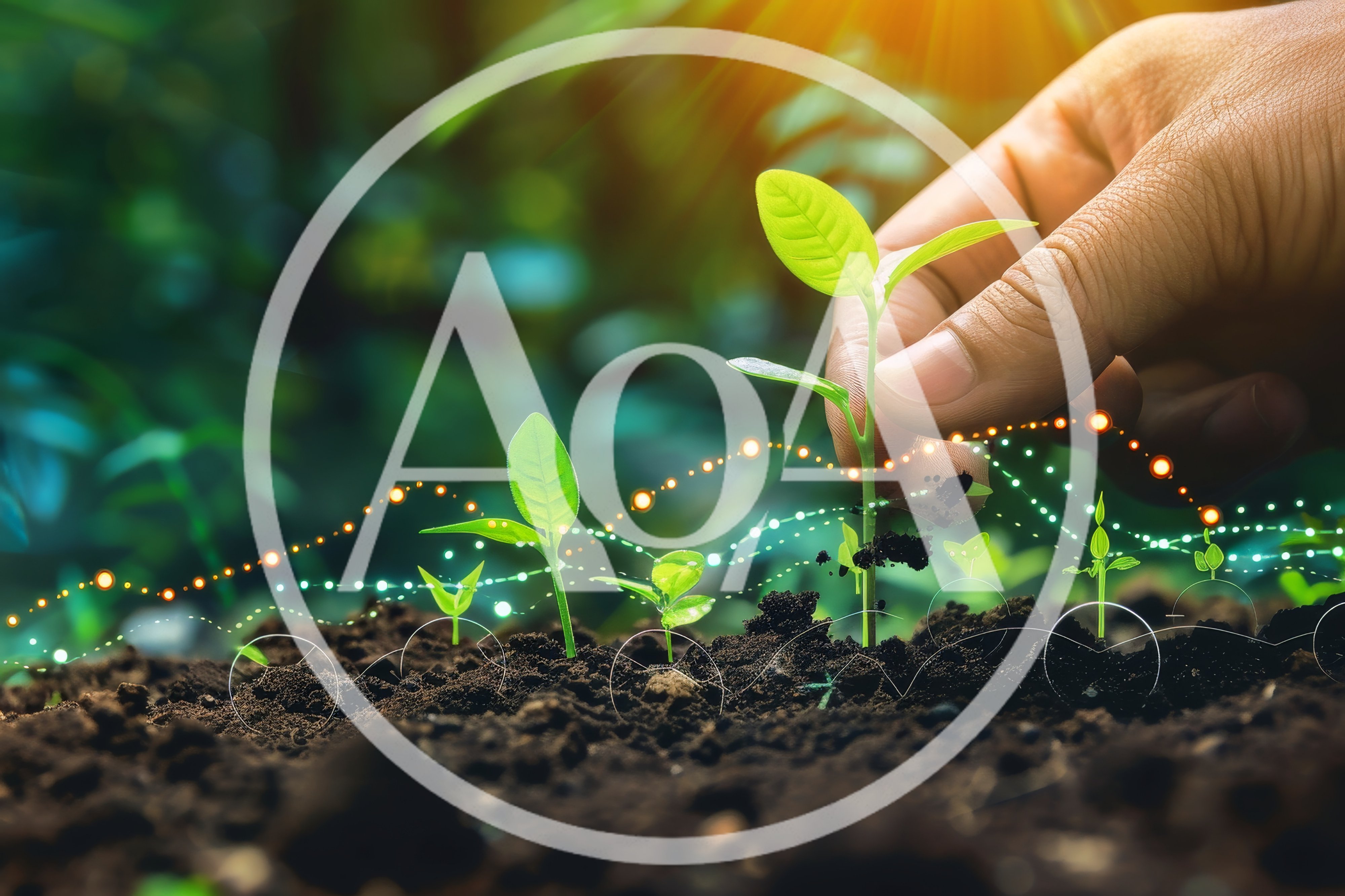 Hand Planting Young Seedling With Digital Growth Data Overlay