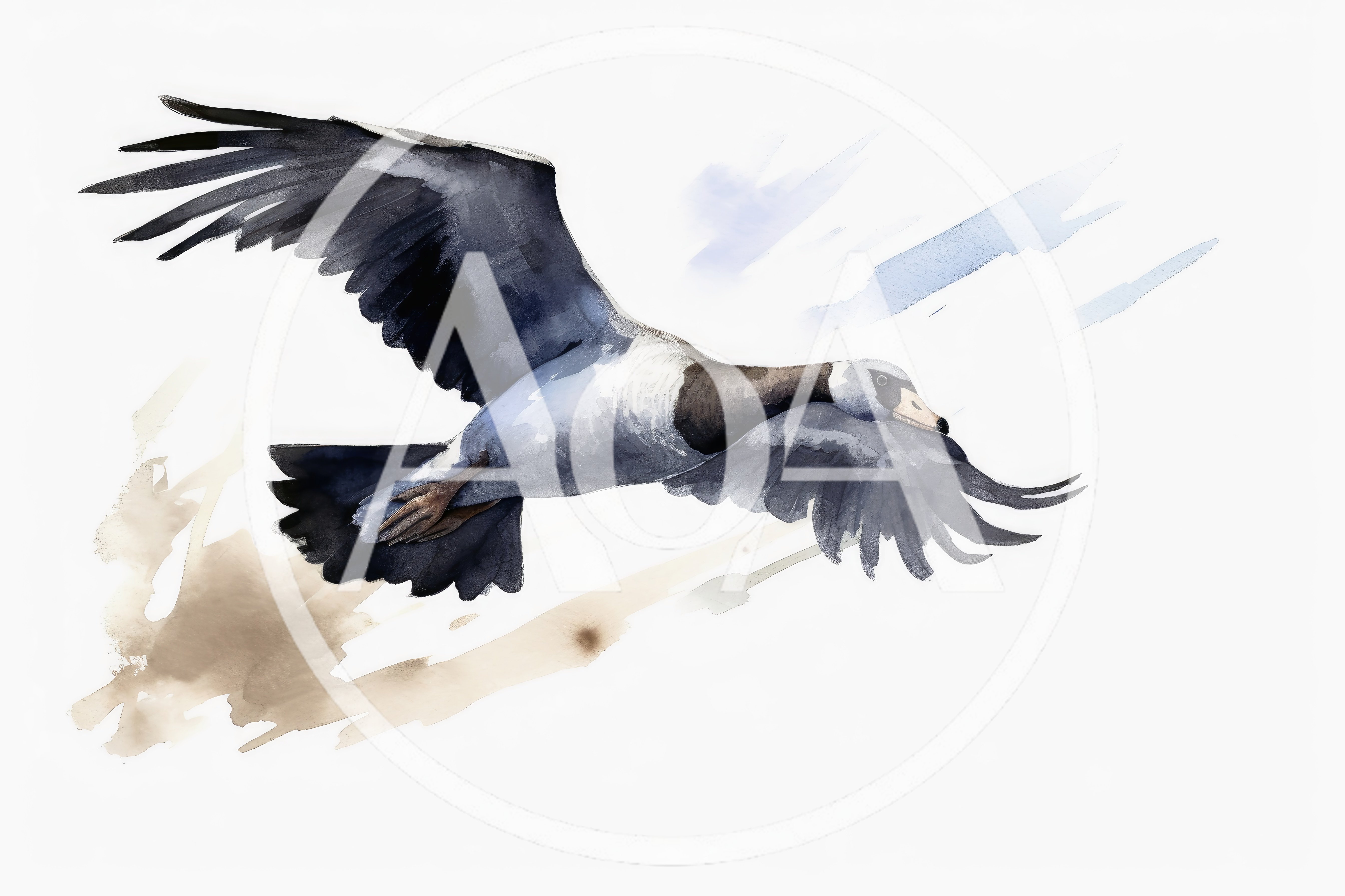 Watercolor Illustration Of A Flying Barnacle Goose