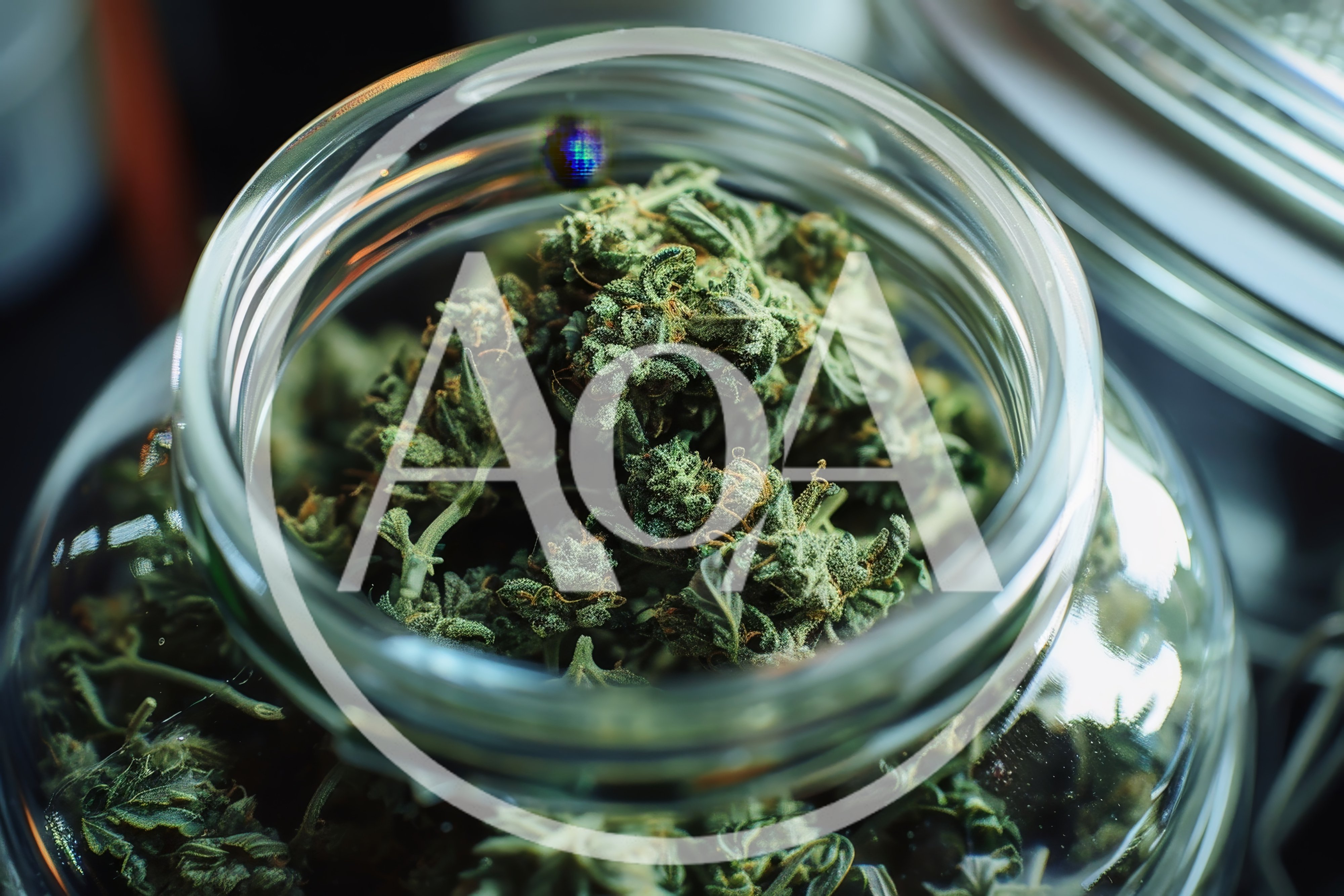 Dried Cannabis Flower Buds Inside A Glass Jar