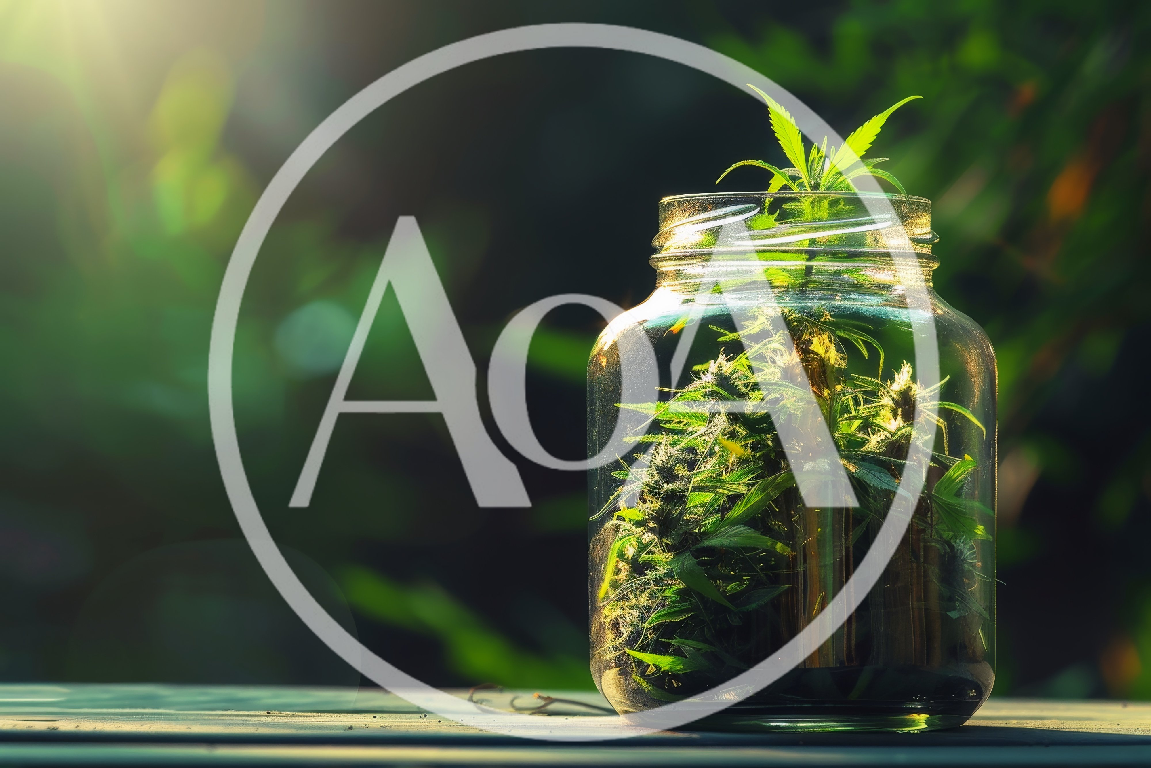 Cannabis Plant Growing Inside A Glass Jar