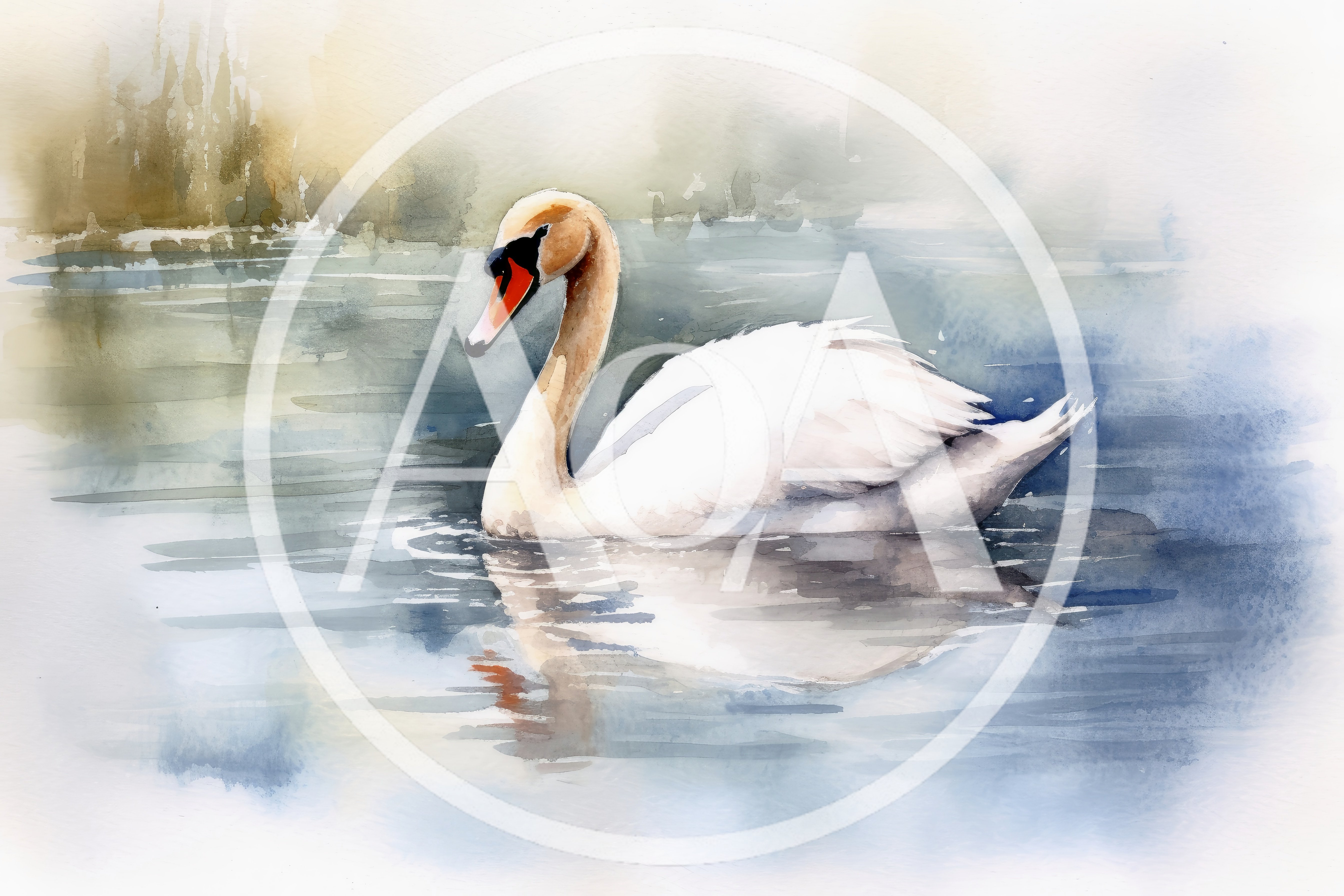 Watercolor Painting Of A Graceful White Swan Swimming