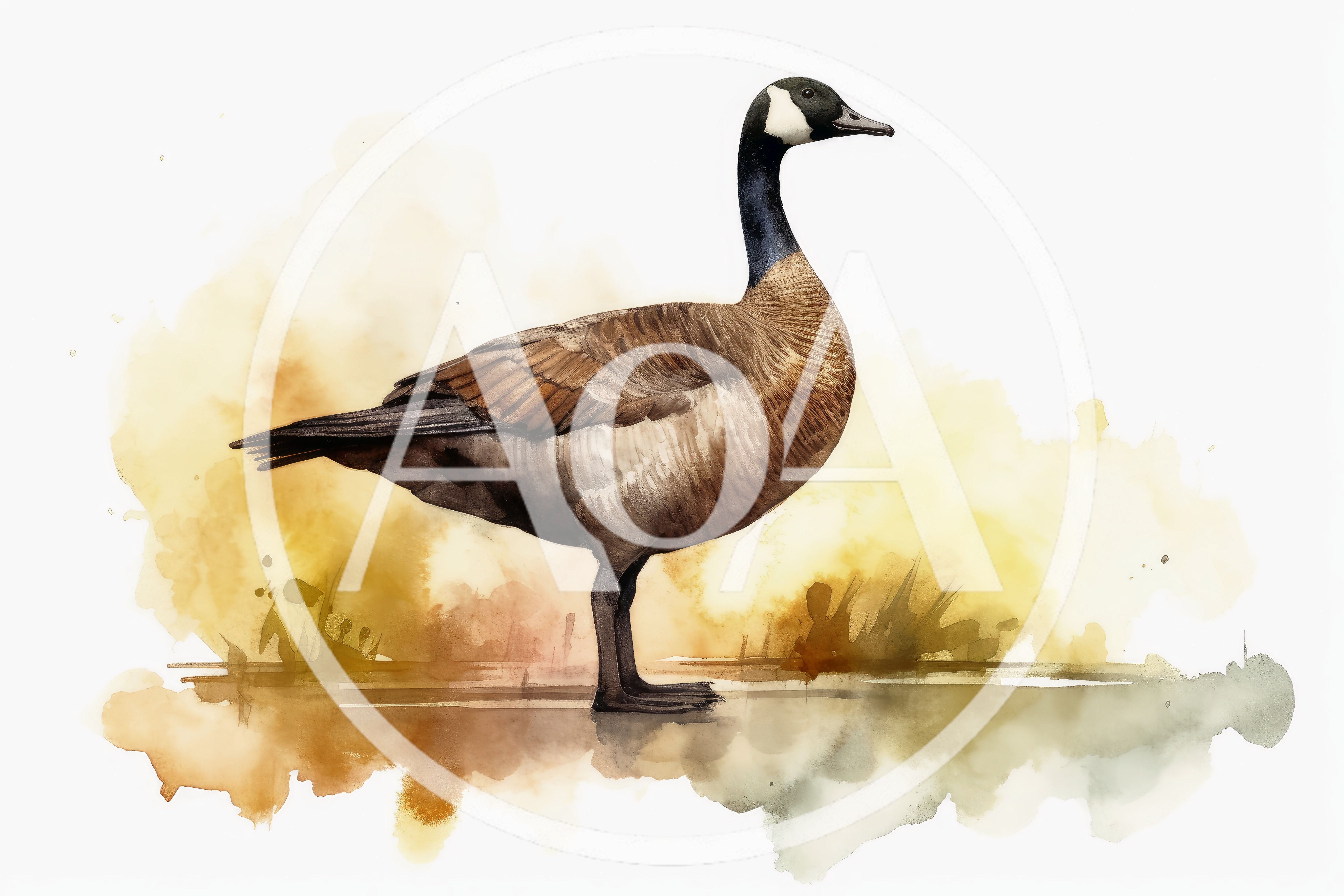 Watercolor Illustration Of A Canada Goose