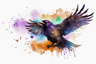 Watercolor Illustration Of A Flying Raven