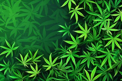 Vibrant Green Cannabis Leaf Pattern Background