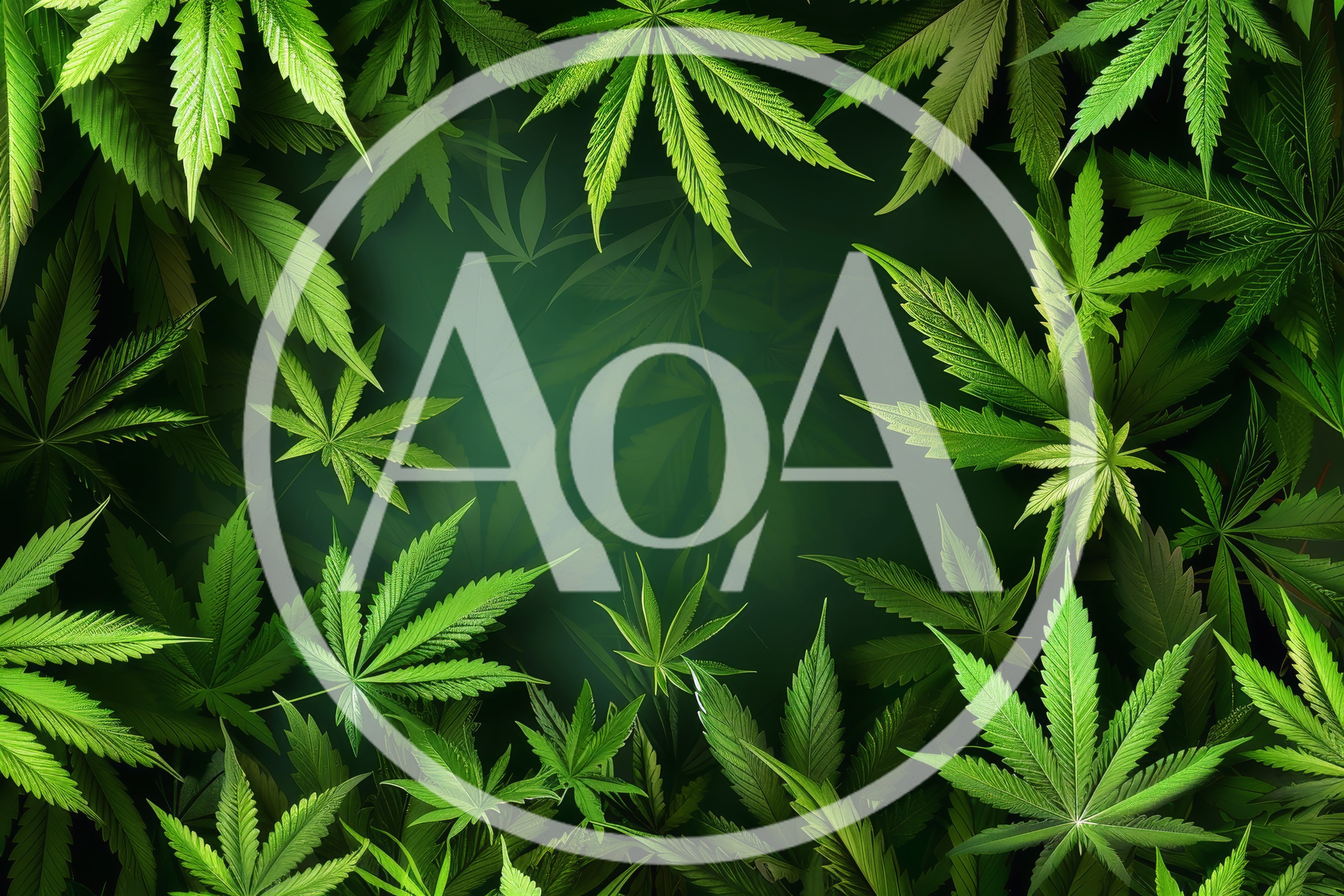 Cannabis Leaf Border Frame On Dark Green Background
