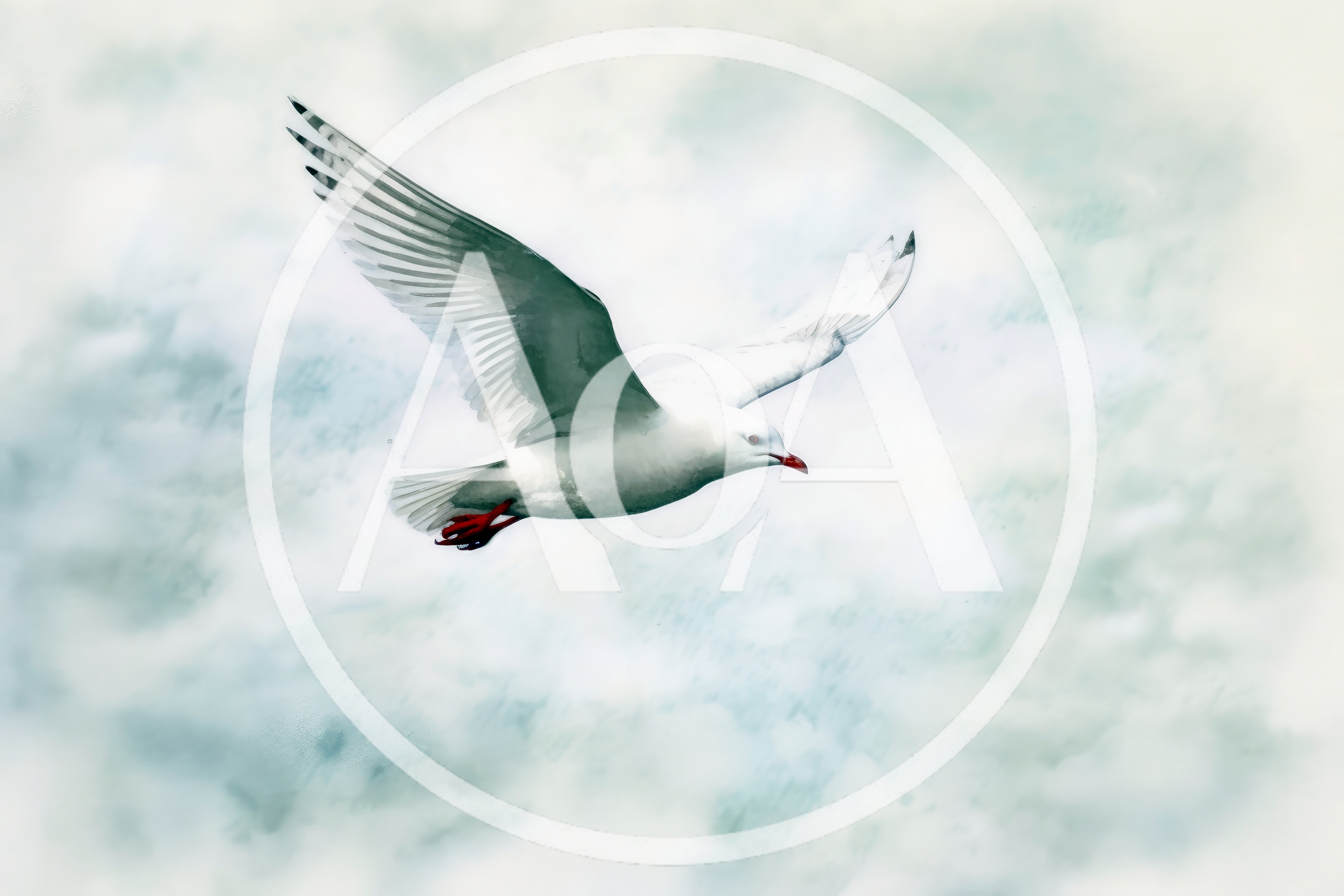 Seagull Flying Against A Cloudy Sky