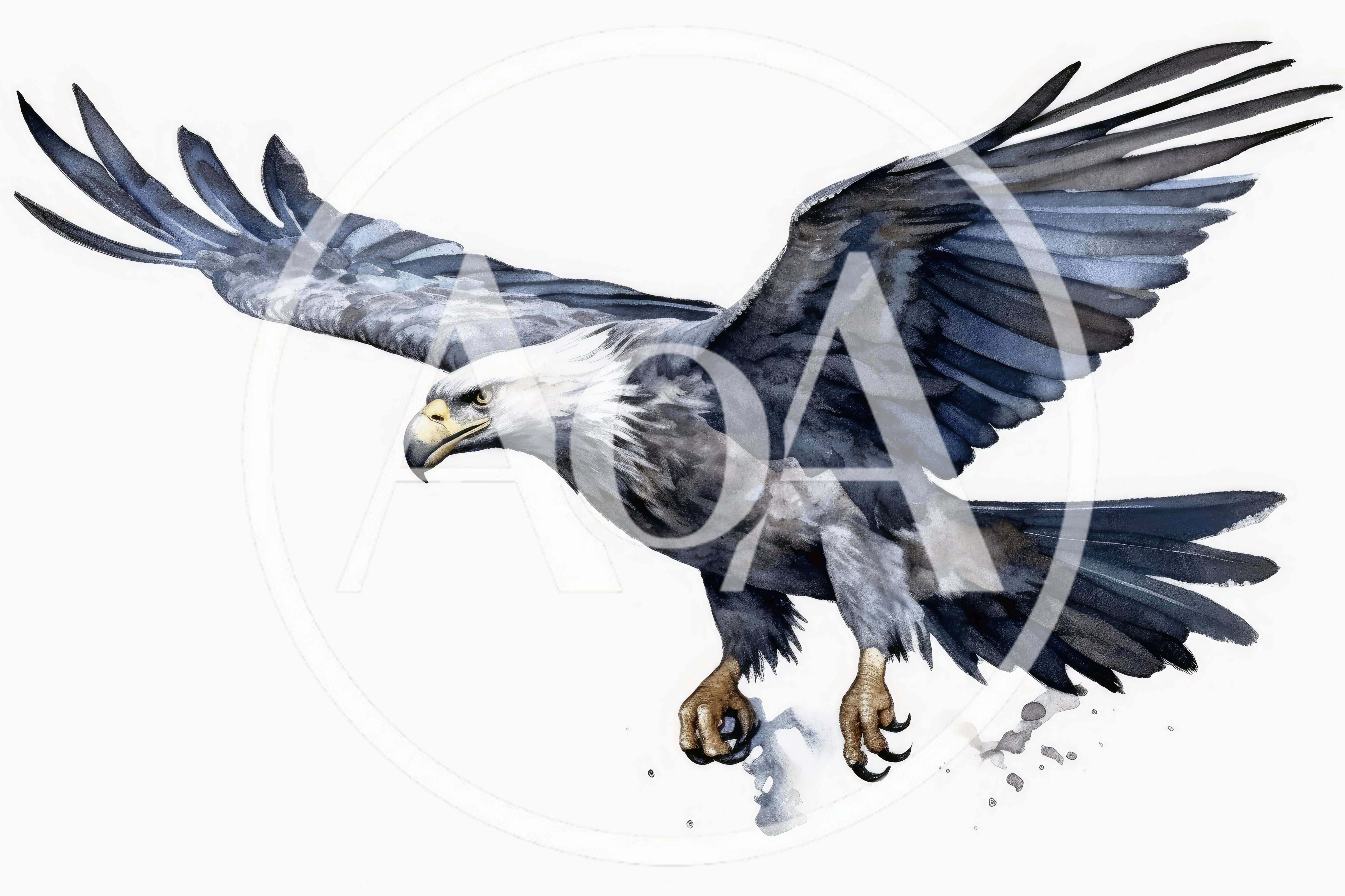 Watercolor Illustration Of A Bald Eagle In Flight