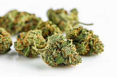 Dried Cannabis Flower Buds on White Background