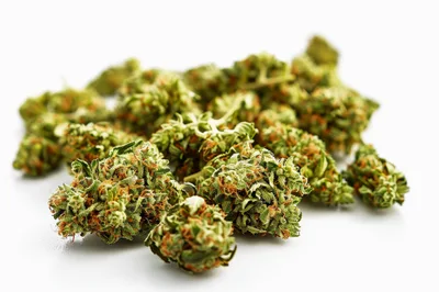 Dried Cannabis Flower Buds on White Background