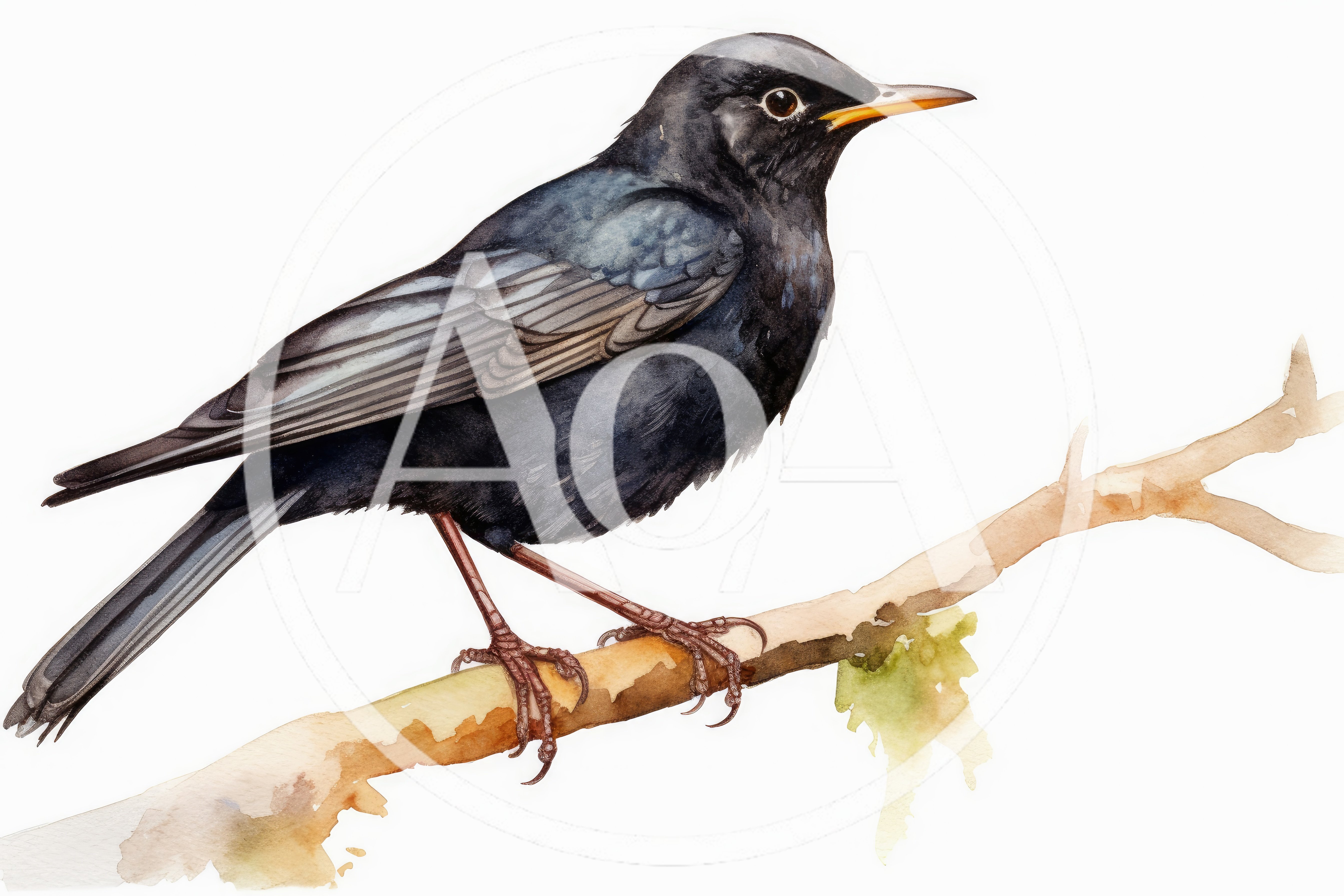 Watercolor Illustration Of A Common Blackbird On A Branch