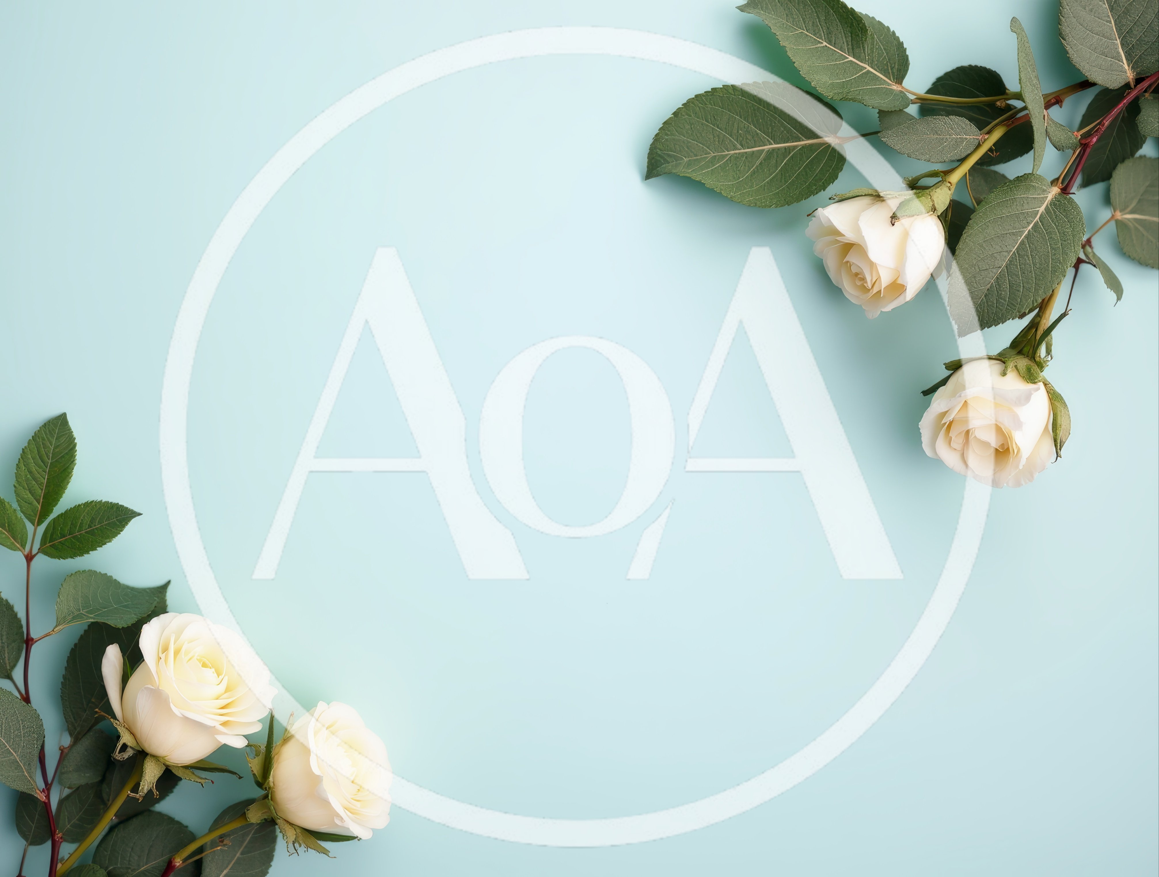 White Roses Arranged on a Light Blue Background