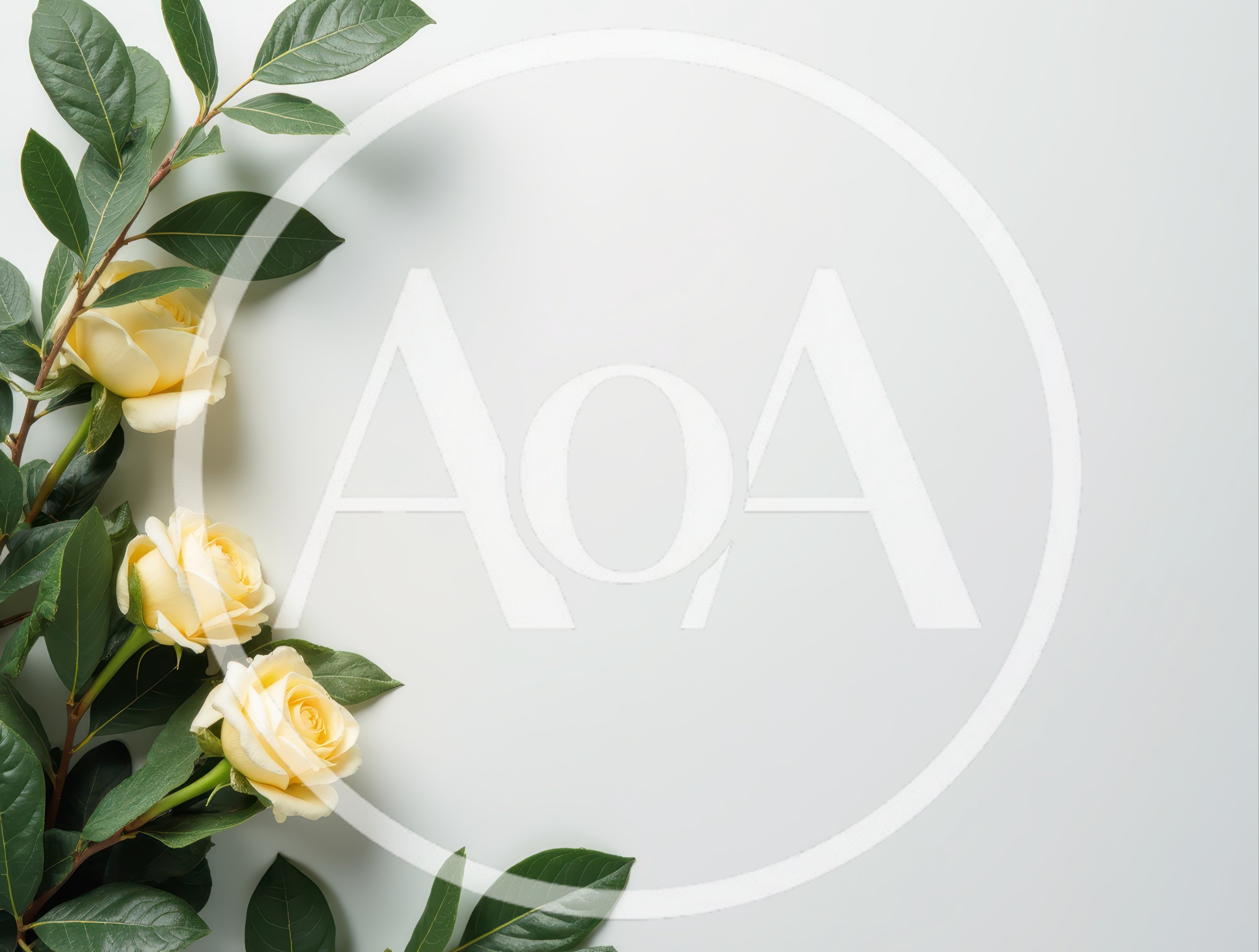 Three Pale Yellow Roses With Green Leaves On White
