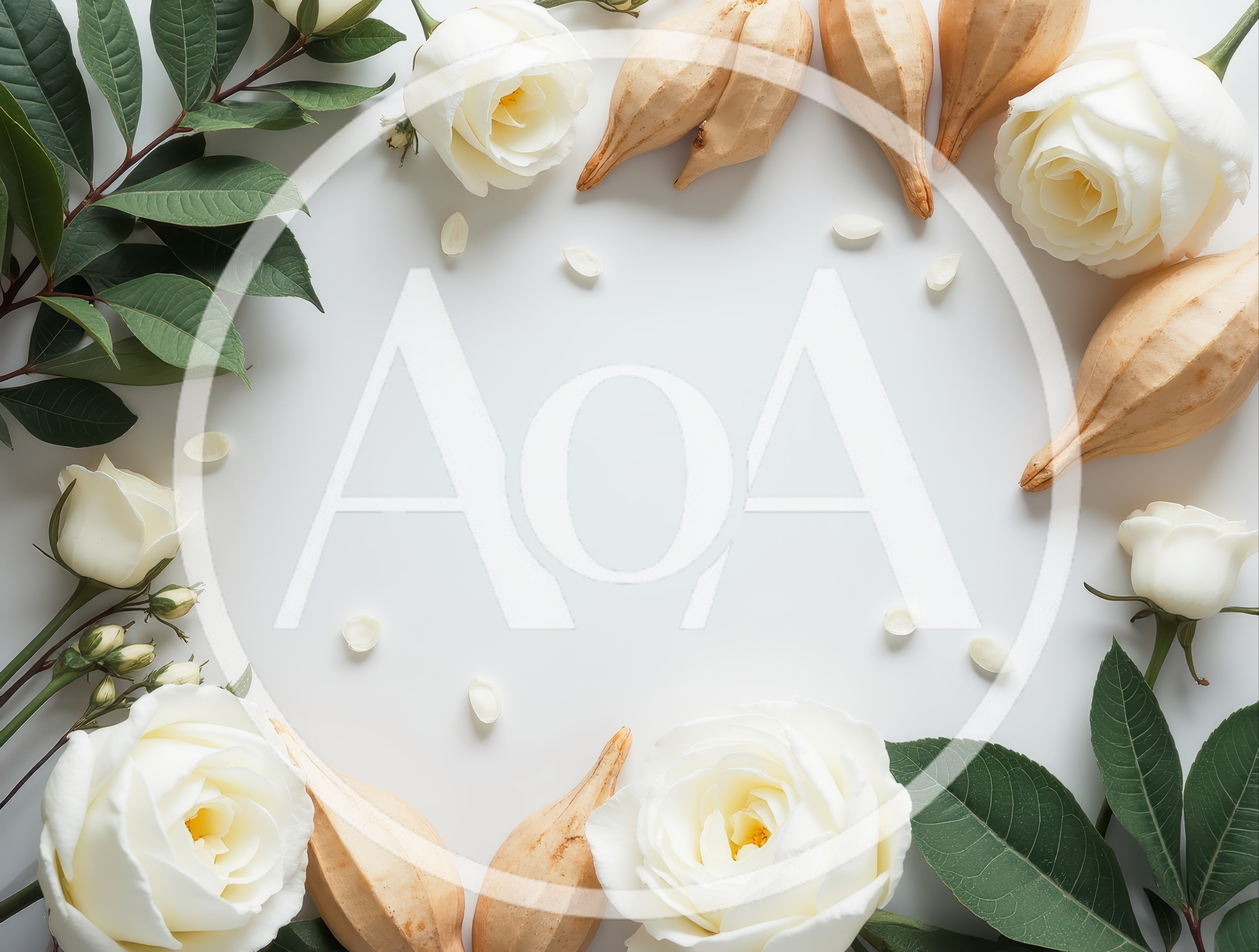 White Roses and Dried Seed Pods Frame