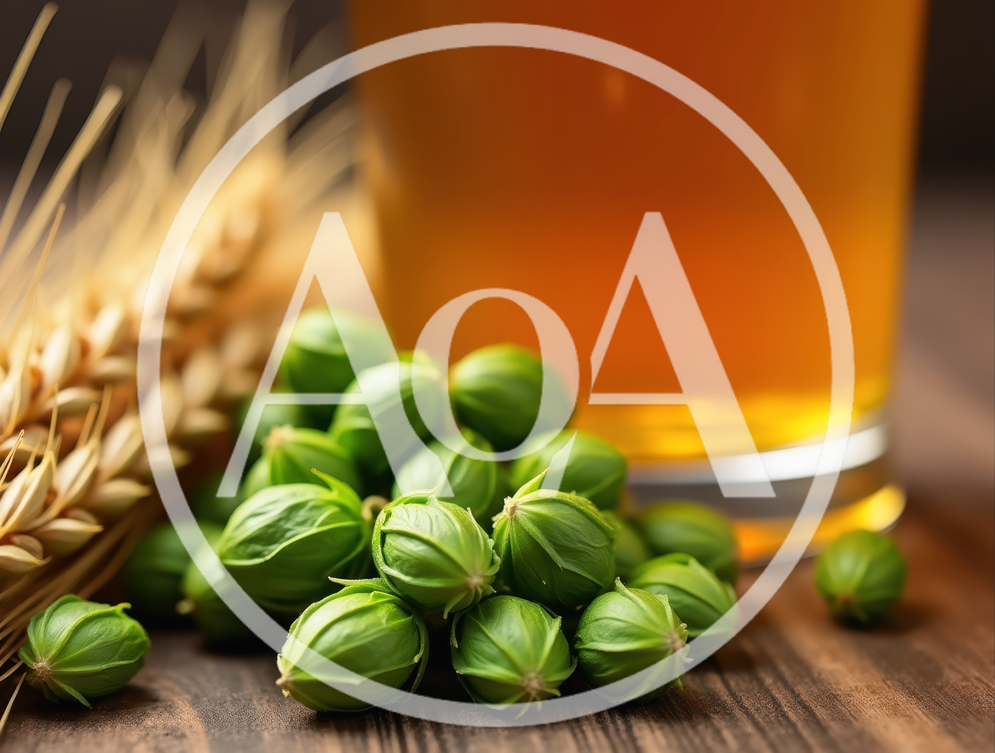 Fresh Green Coriander Seeds With Wheat And Beer