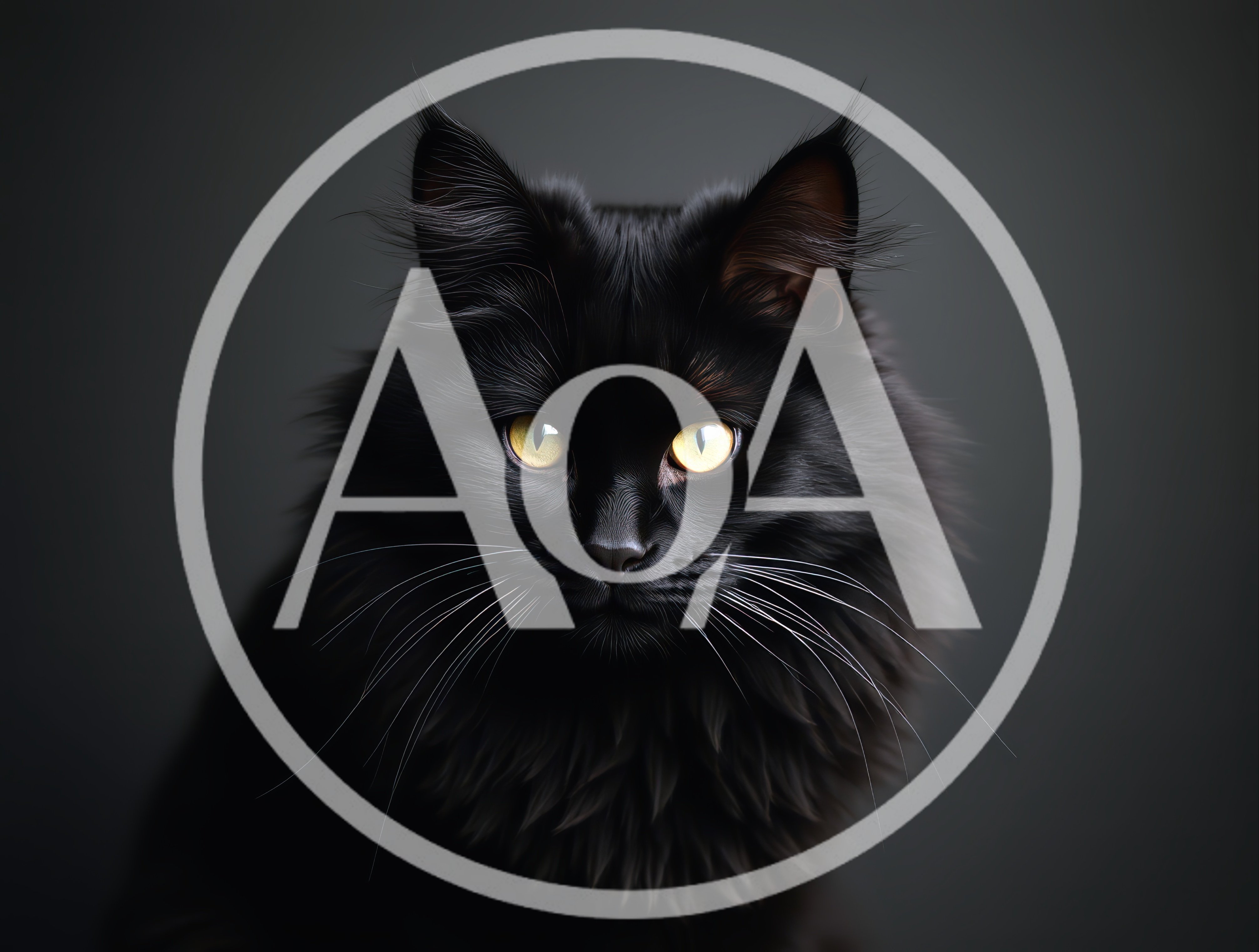 Portrait Of A Majestic Black Maine Coon Cat
