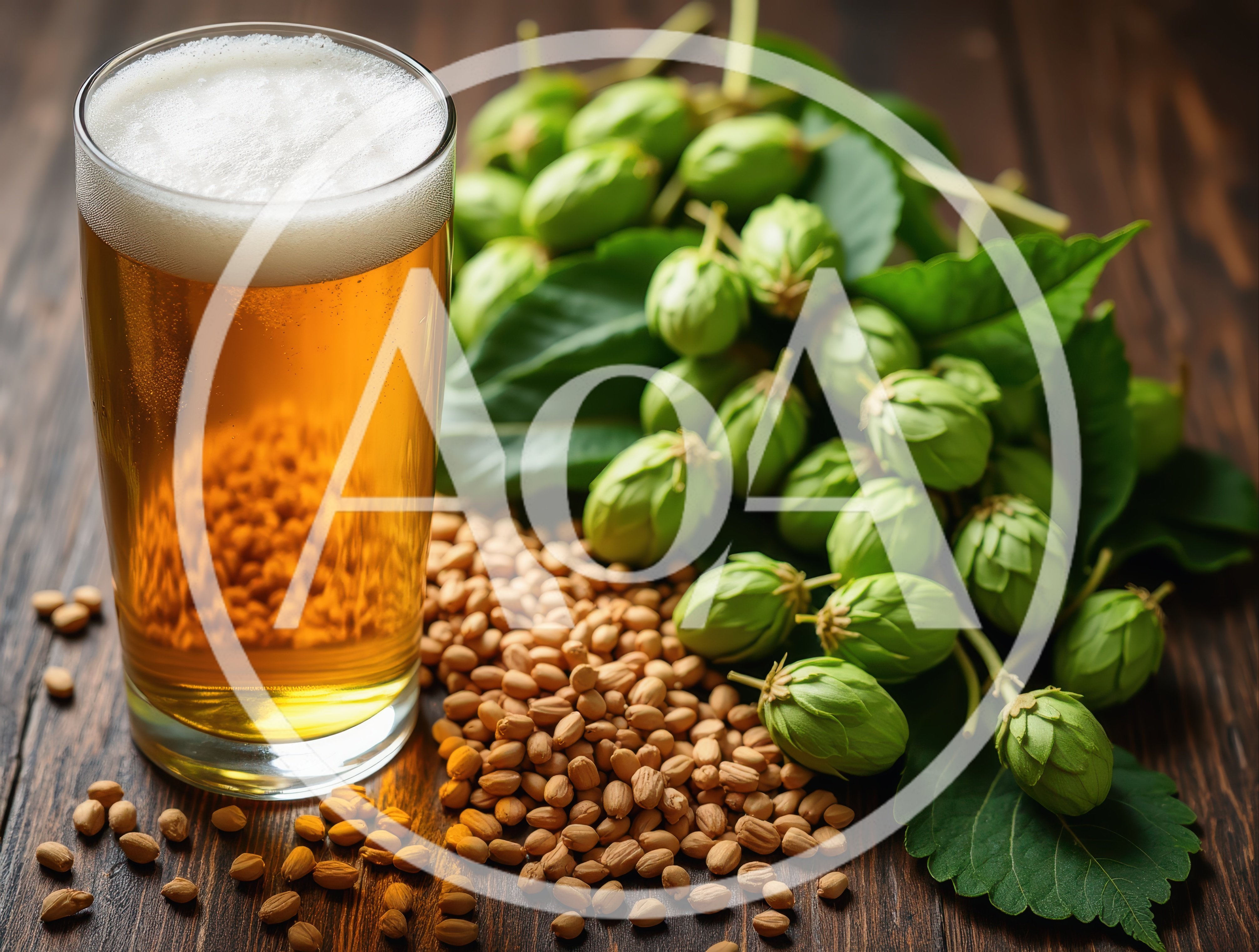Glass Of Beer With Fresh Hops And Malt Grains