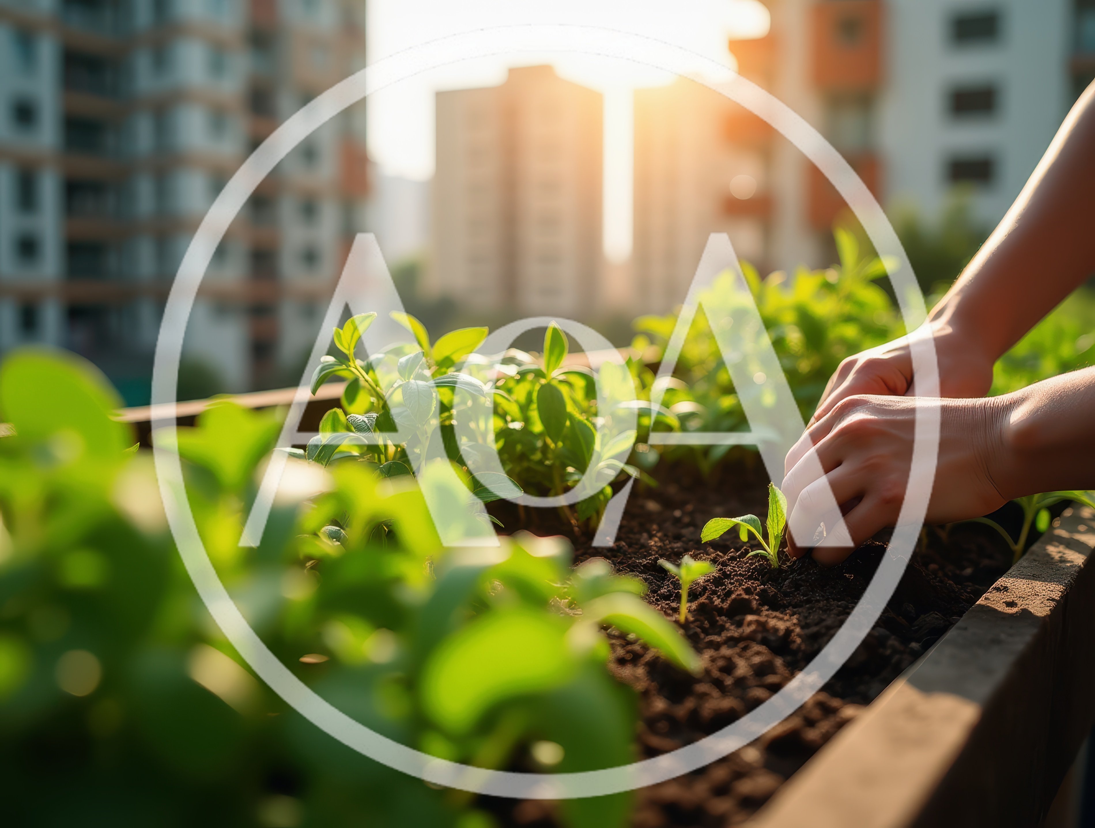 Person Planting Seedlings In An Urban Balcony Garden