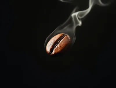 Single Roasted Coffee Bean With Rising Smoke