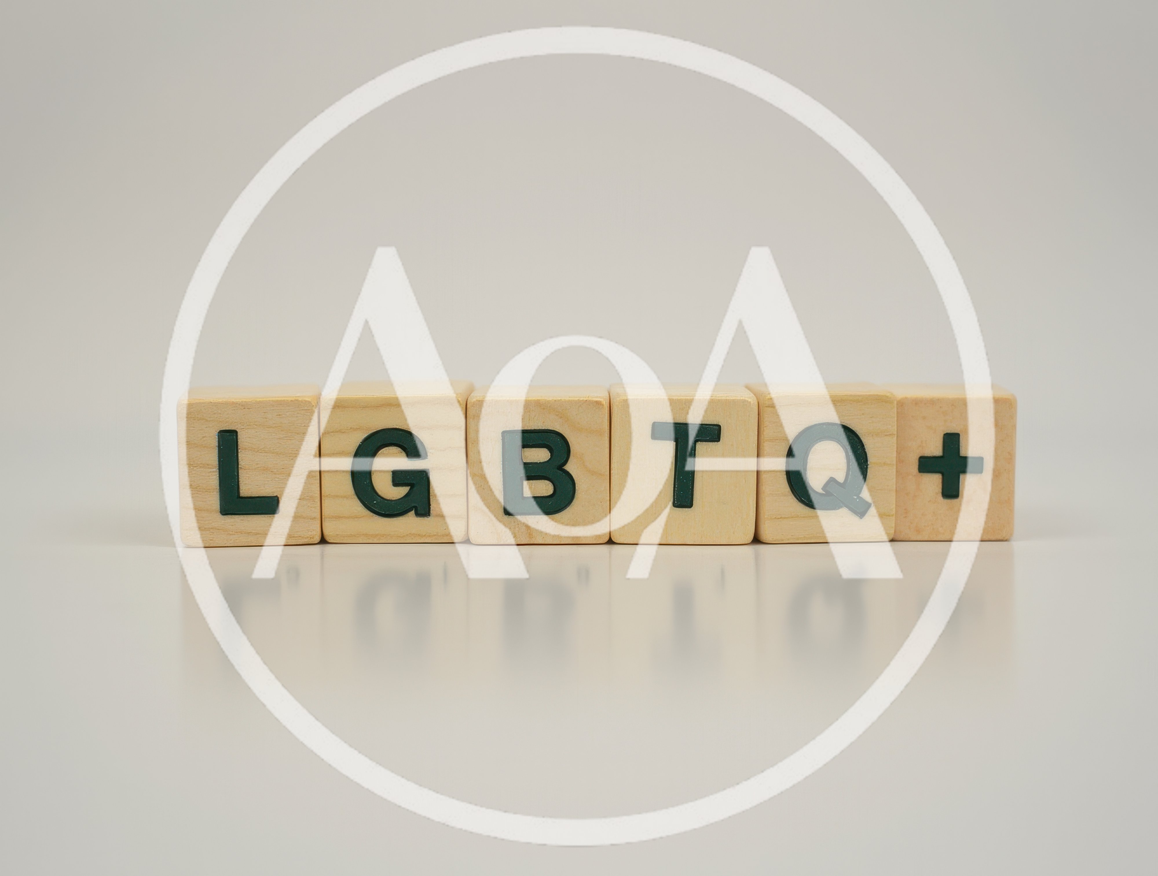 LGBTQ Plus Text On Wooden Blocks