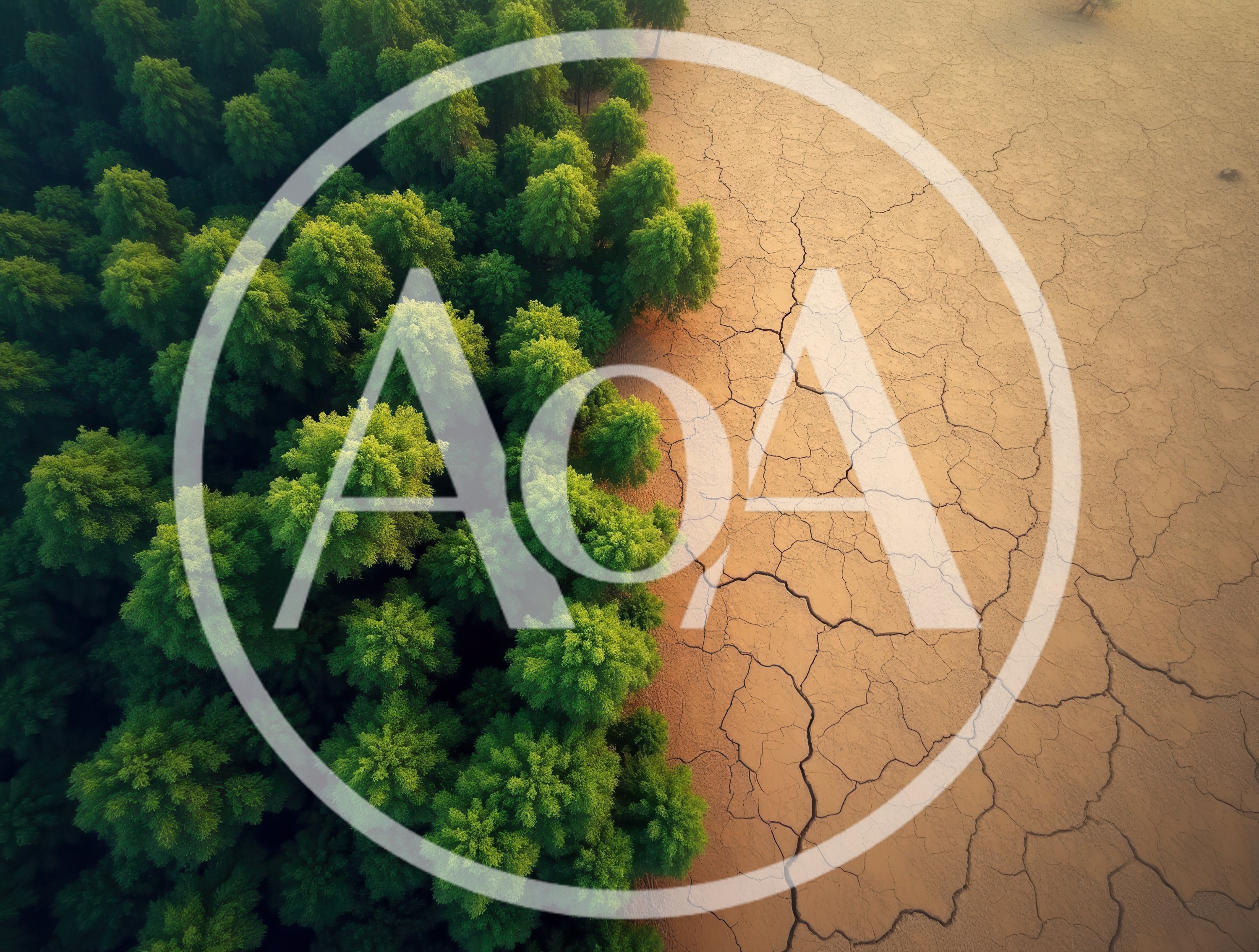 Aerial View Of Forest Edge Meeting Cracked Dry Earth