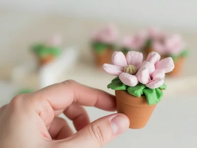 Hand Holding A Miniature Potted Flower Craft