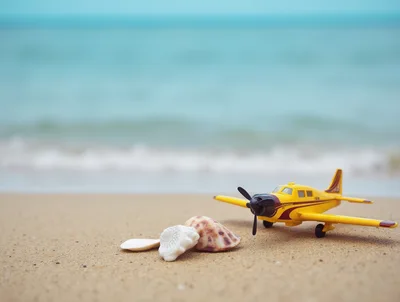 Yellow Toy Airplane And Seashells On Sandy Beach