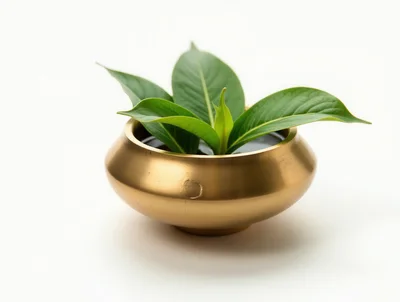 Green Leaves In A Brass Bowl