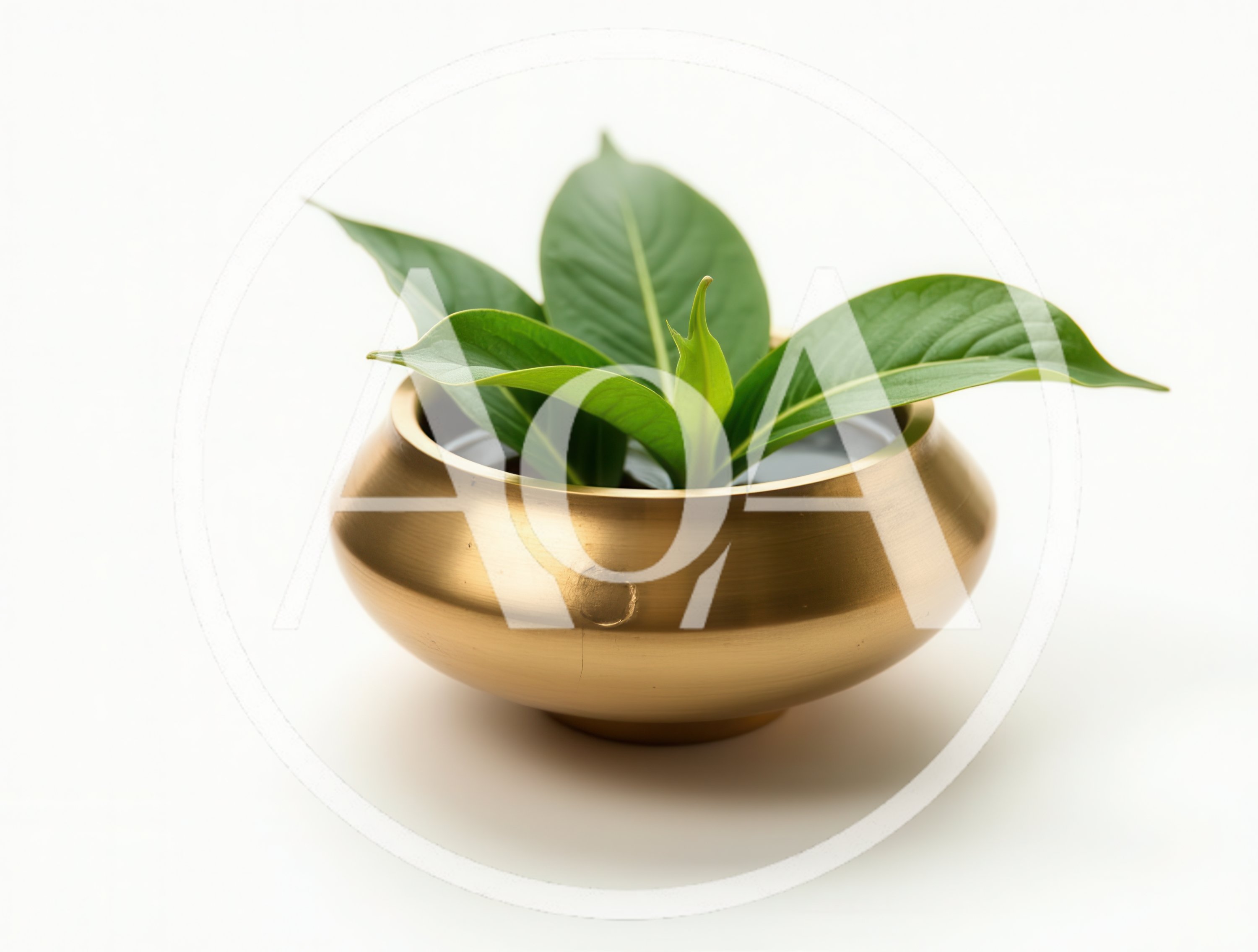 Green Leaves In A Brass Bowl