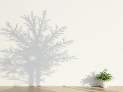 Minimalist Interior With Potted Plant And Tree Shadow