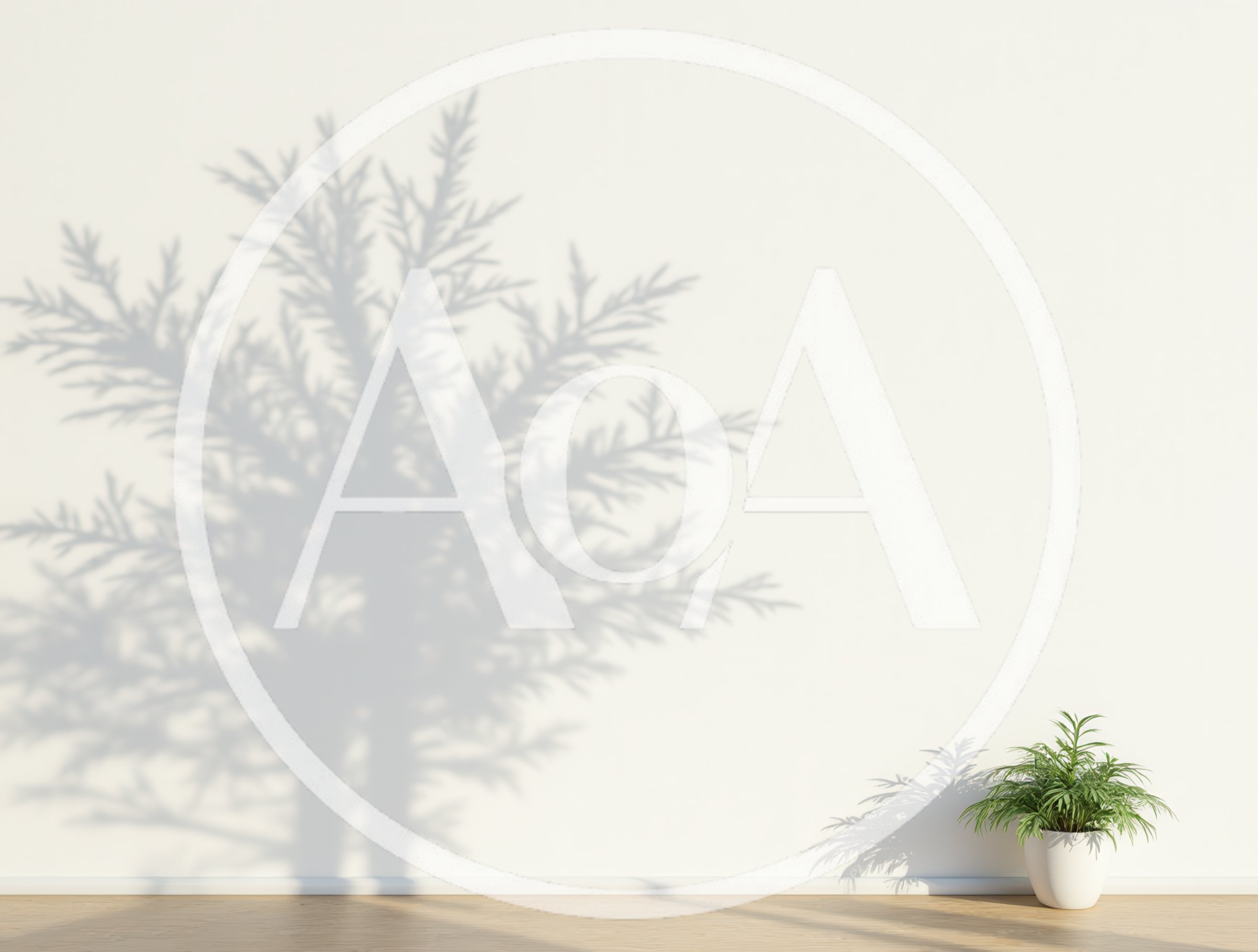 Minimalist Interior With Potted Plant And Tree Shadow