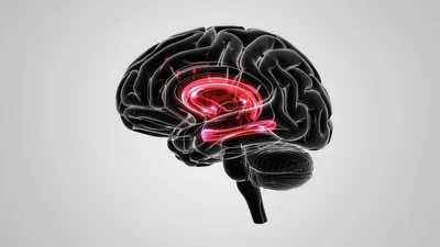 3D Medical Animation Of Human Brain Activity