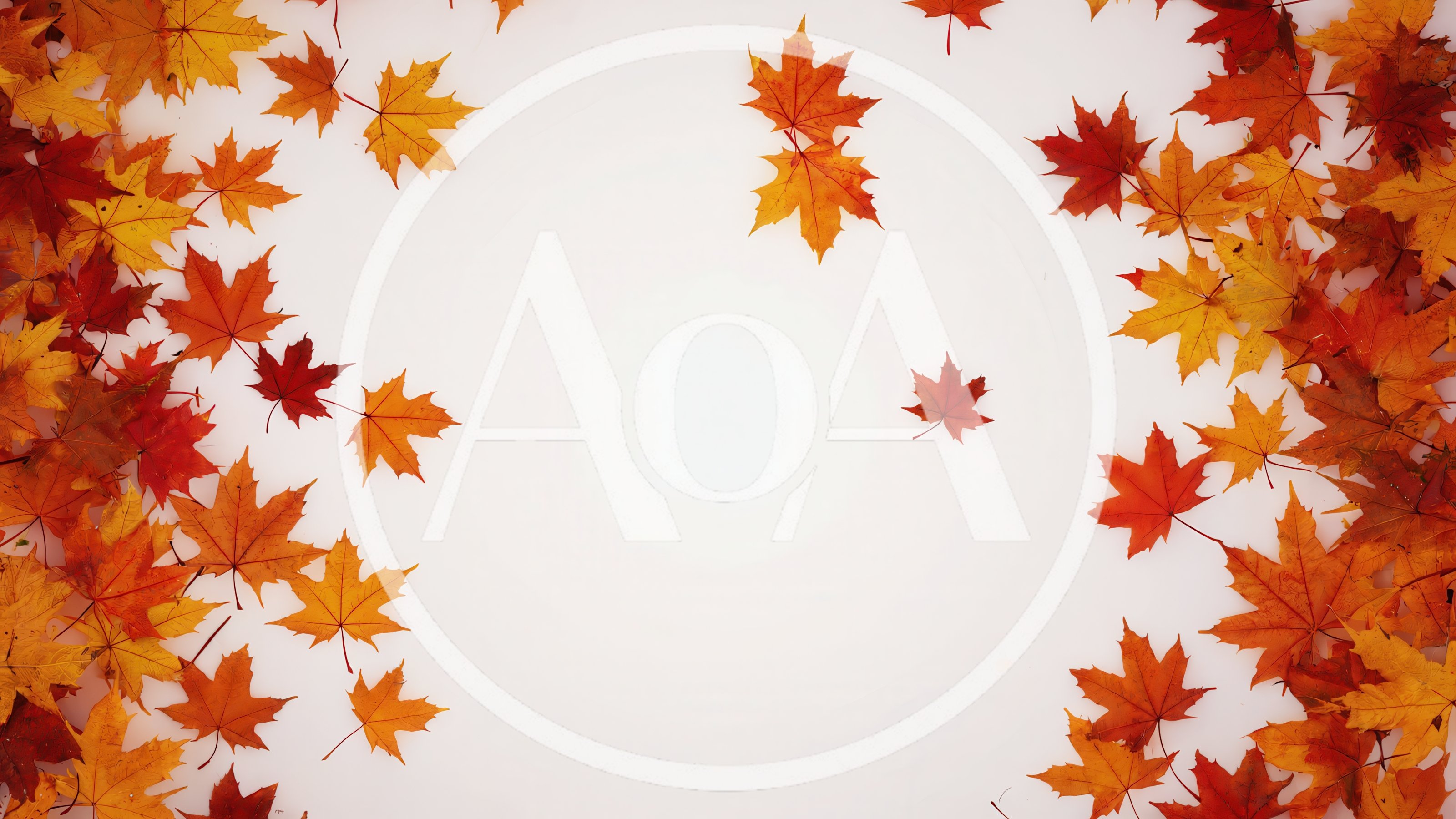 Autumn Maple Leaves Border Frame on White Background