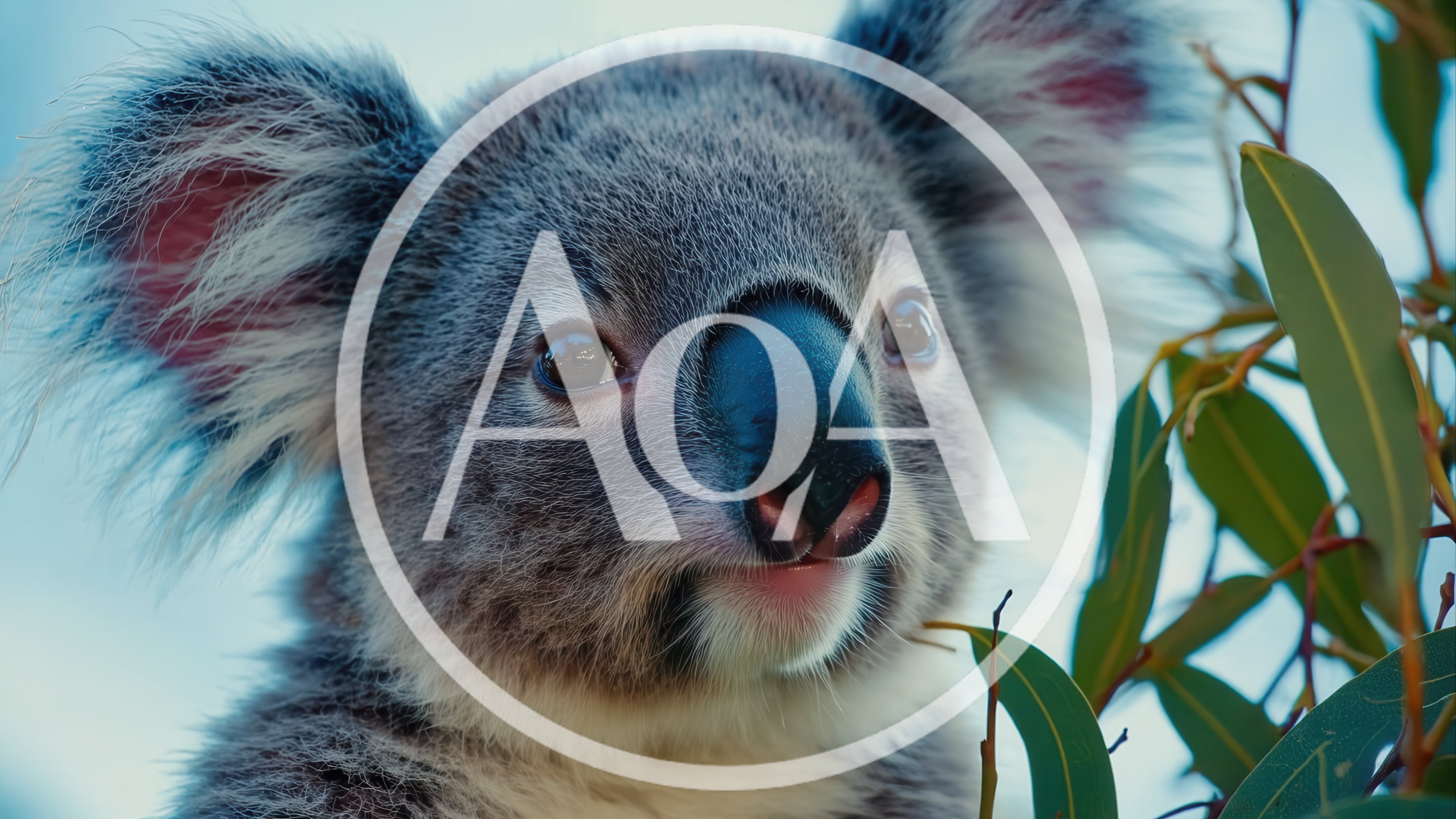 Close Up Portrait Of A Cute Koala