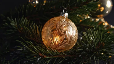 Golden Christmas Ornament Nestled In Pine Branches