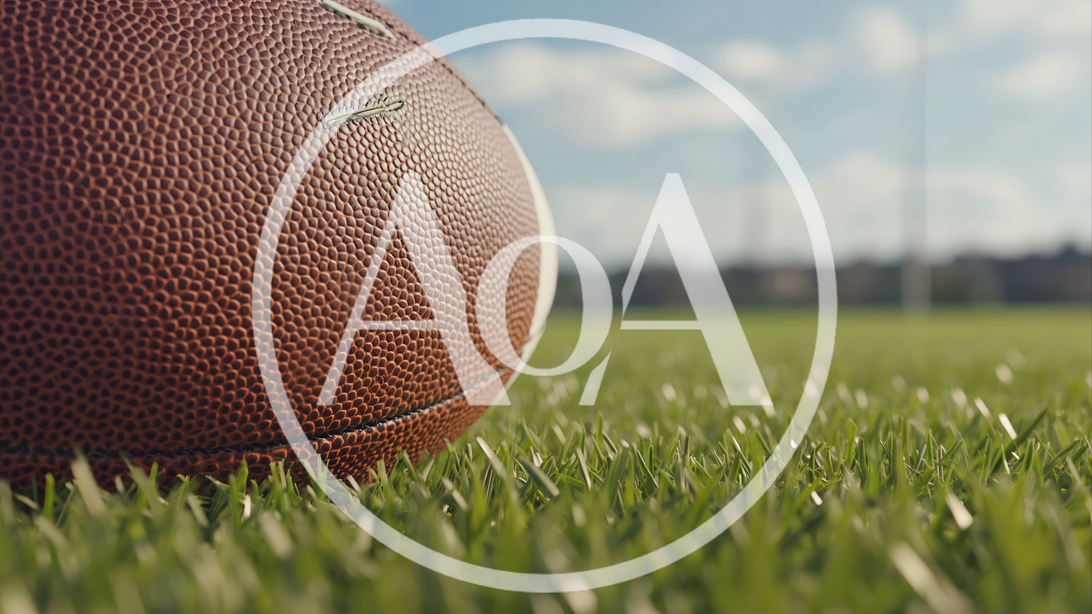 American Football Resting On Green Grass Field