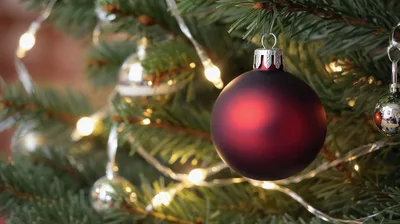 Matte Red Christmas Ornament Hanging On Pine Tree